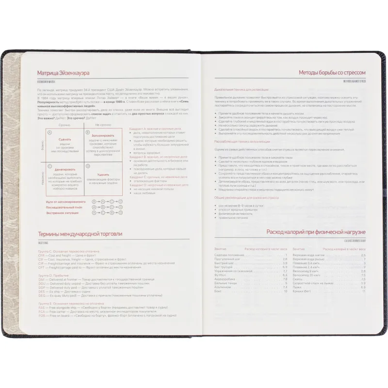 Ежедневник недатированный А5 LYON черный, 136л 3-684/03 - фото 11