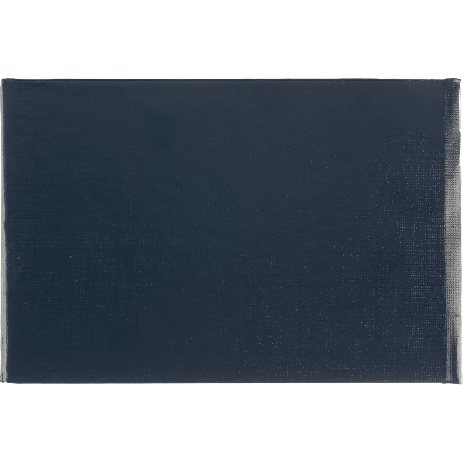 Бланк Билет учащегося 9,5см х 6,5см, твердая обложка, бумвинил, синий - фото 5