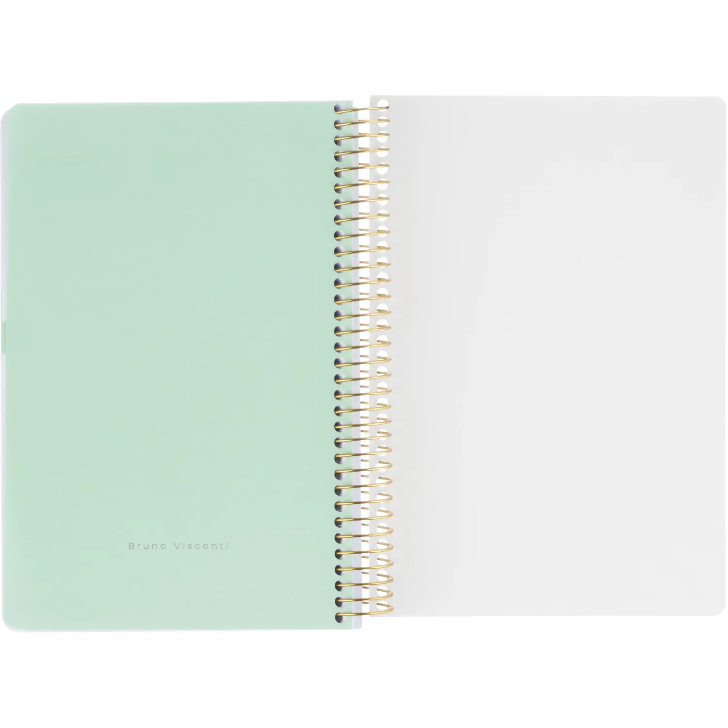 Ежедневник недатированный CUTE DIARY А5,BV,136,ИРИСЫ, зол.греб, 3-701/15 - фото 11