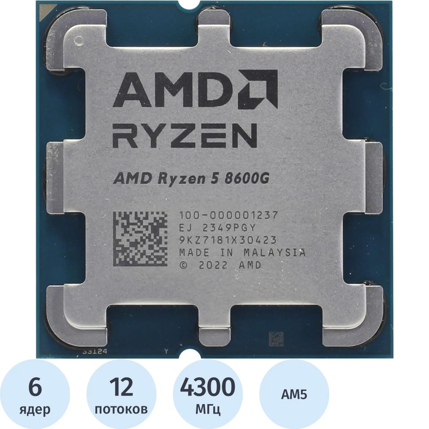 Процессор AMD Ryzen 5 8600G AM5 (100-000001237) OEM - фото 1