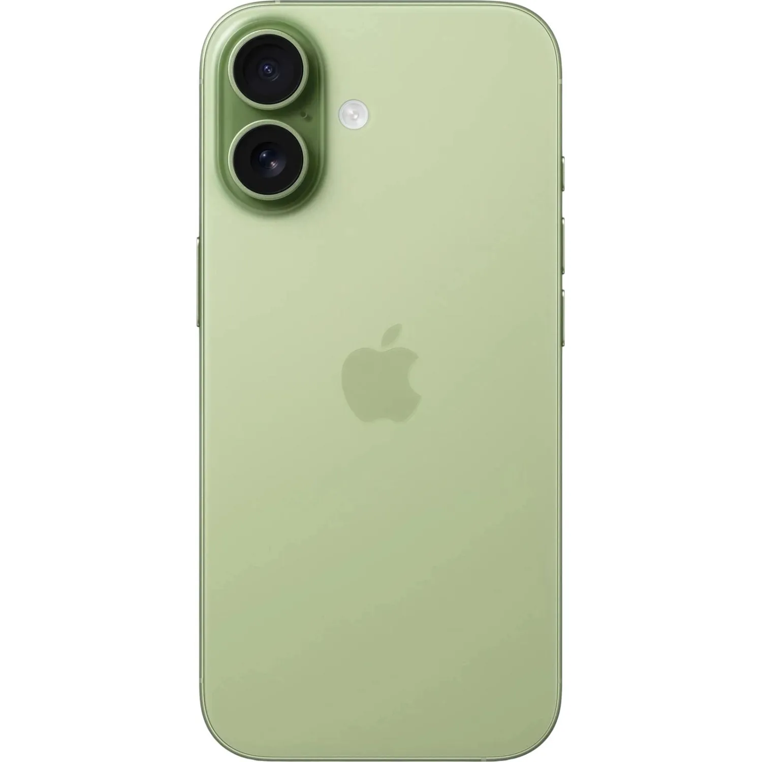 Смартфон Apple iPhone 17 256Gb зеленый(MG6N4HN/A) - фото 2