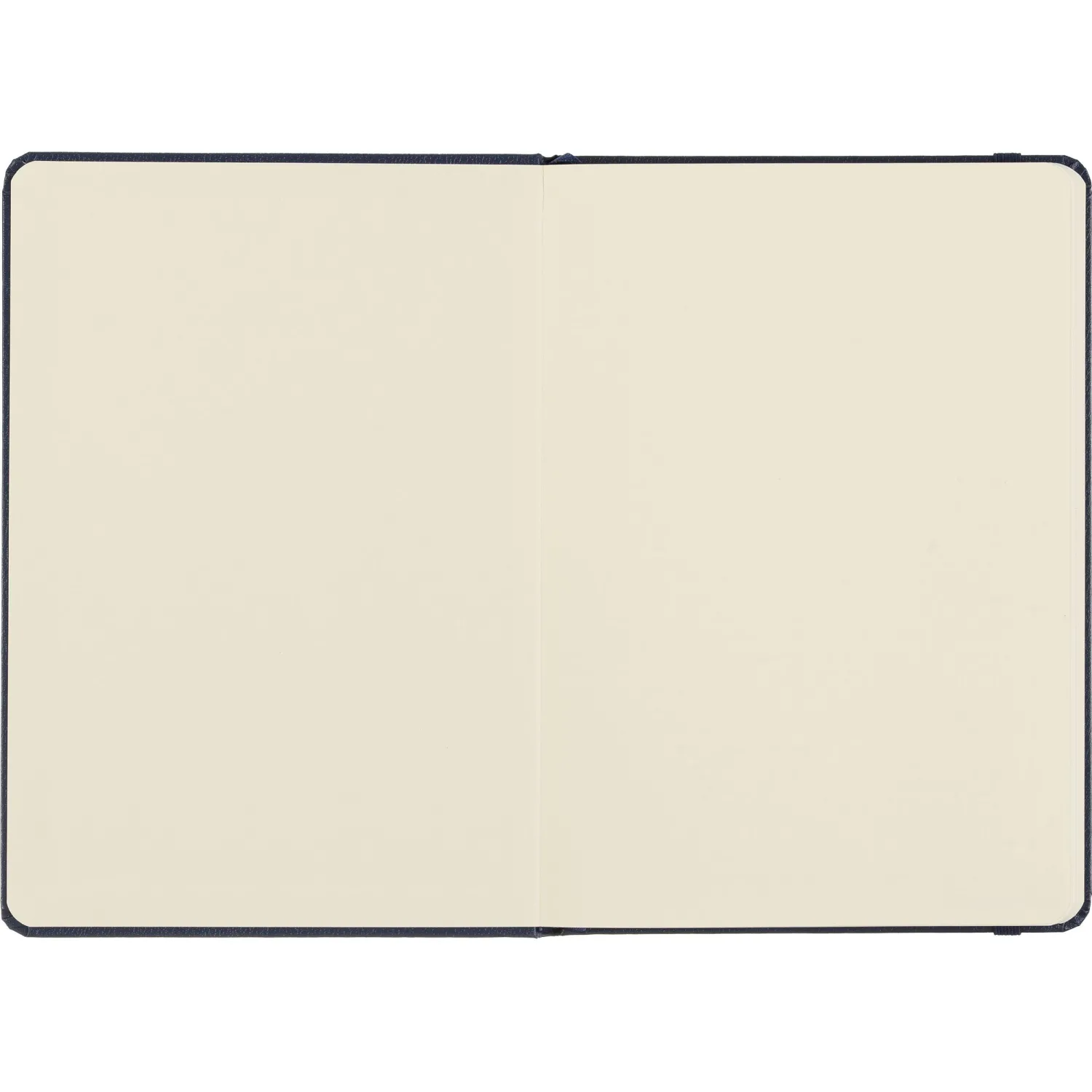 Бизнес-блокнот Attache А5 (148x218 мм), ЭССЕ,балакр,80л.,резин,клетка,синий - фото 4