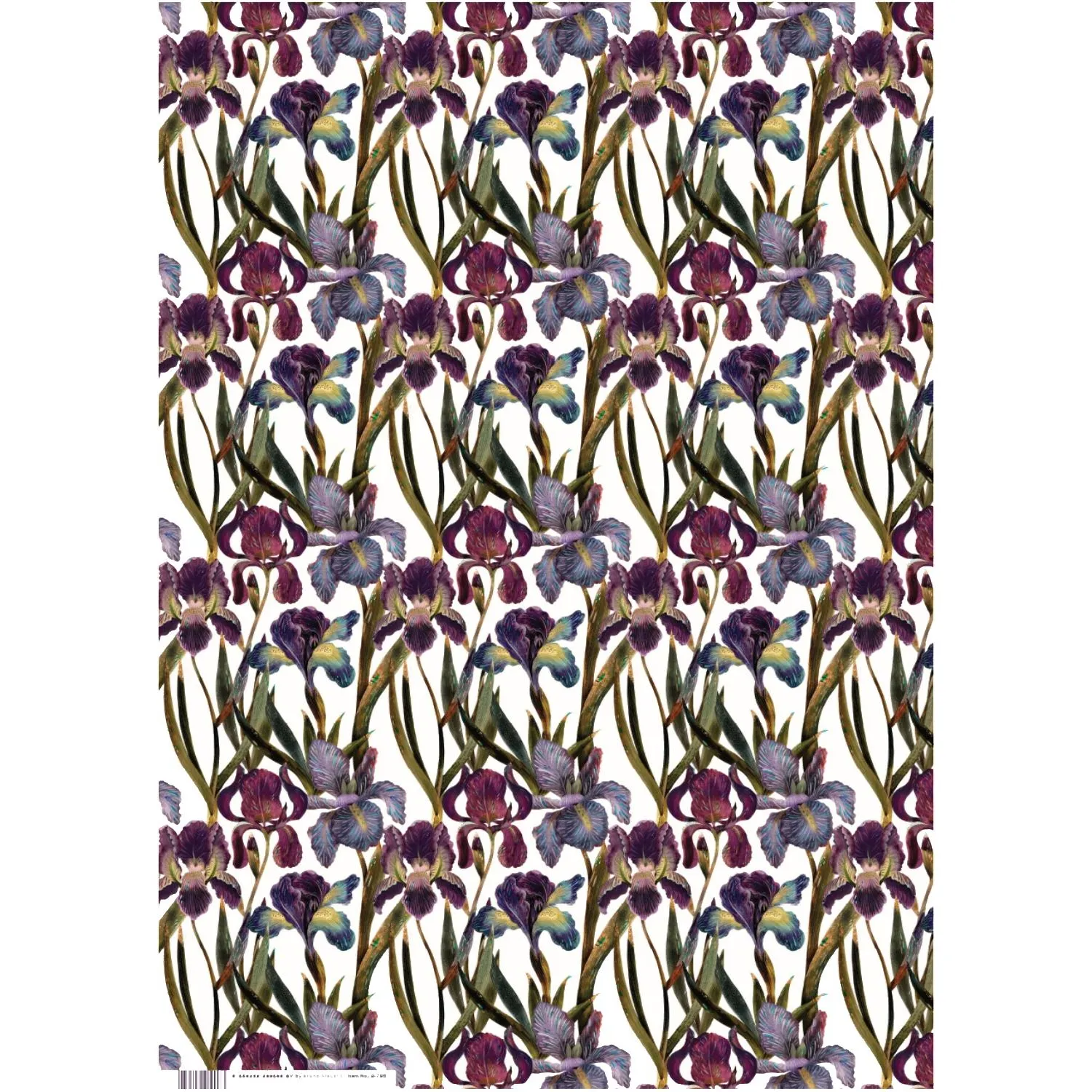Бумага упаковочная FLORA.ИРИСЫ, 50 х 70 см (4 листа), 2-794/03 - фото 1