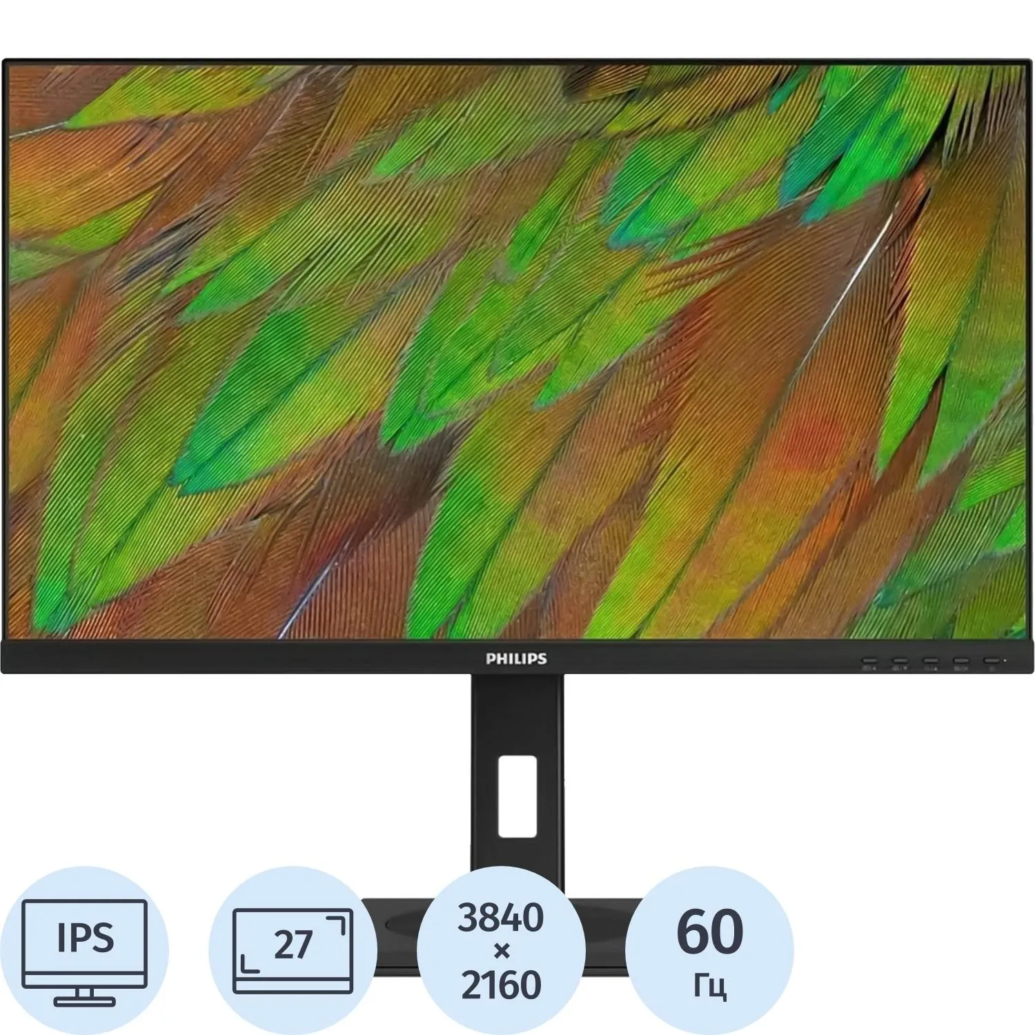Монитор Philips 27B1N3800 27 4K/IPS/60Гц/Piv/HDMI/DP/USB/черный - фото 1