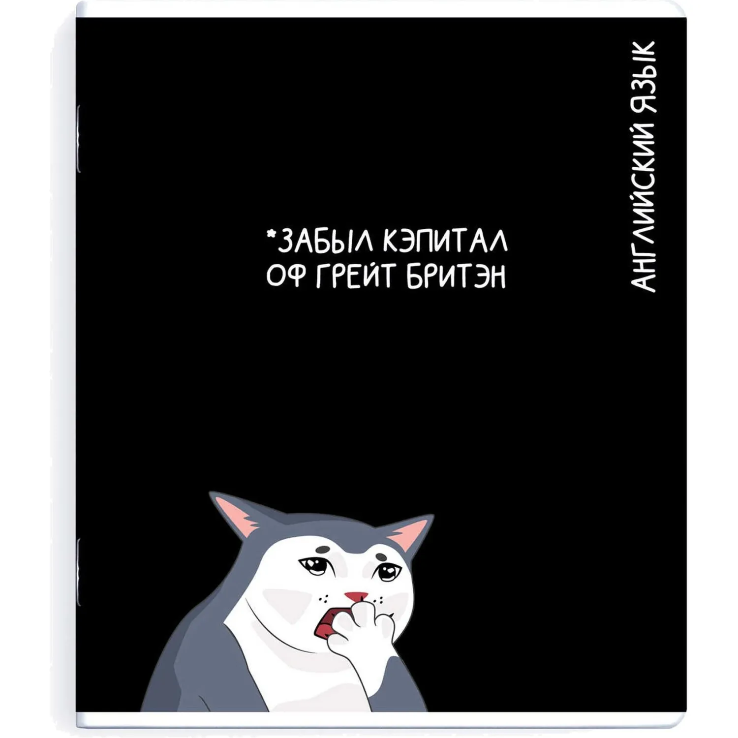 Тетрадь предметнaя АНГЛИЙСКИЙ ЯЗЫК'КОТЫ МЕМЫ'48л,А5+,кл,справ.инф/69828 - фото 1