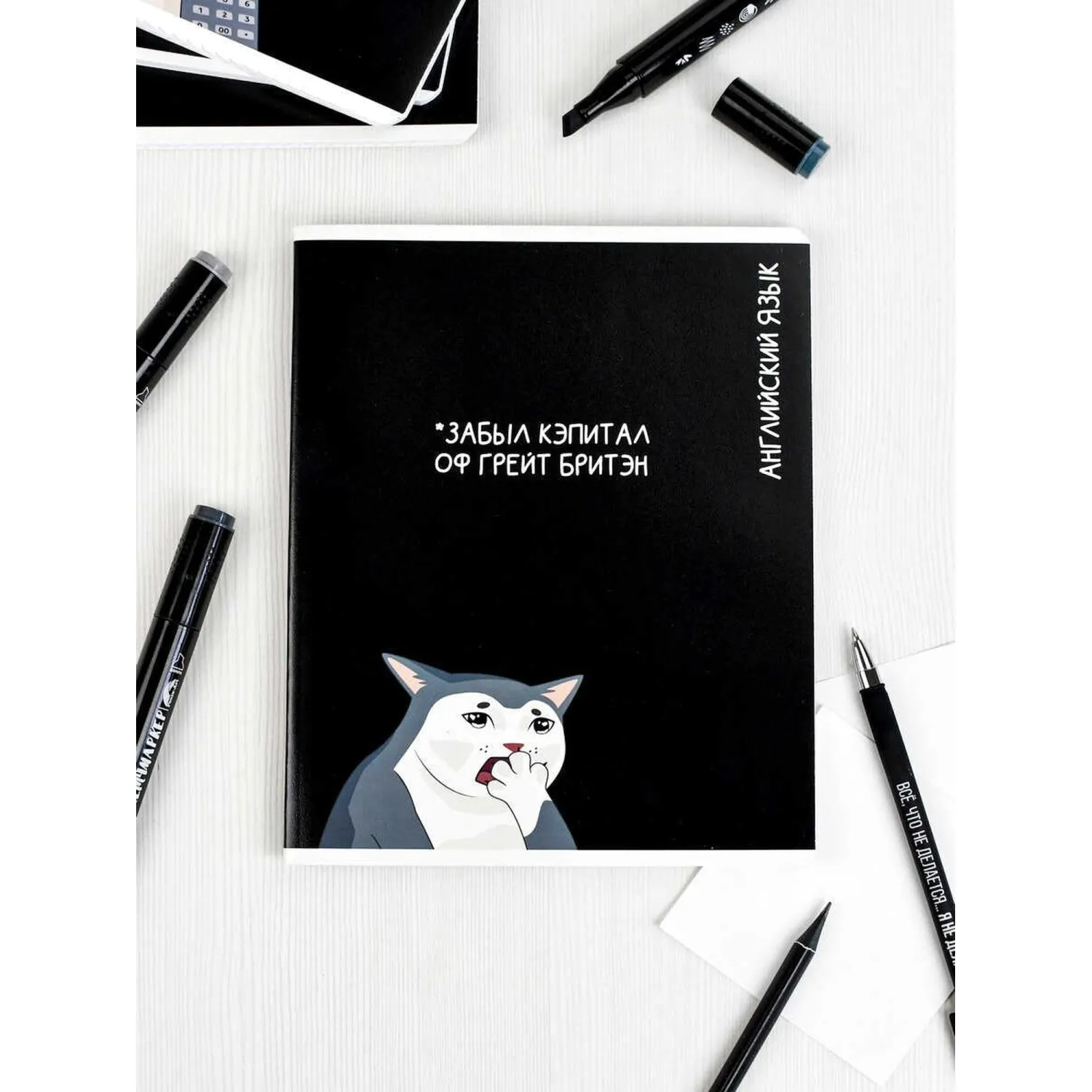 Тетрадь предметнaя АНГЛИЙСКИЙ ЯЗЫК'КОТЫ МЕМЫ'48л,А5+,кл,справ.инф/69828 - фото 10