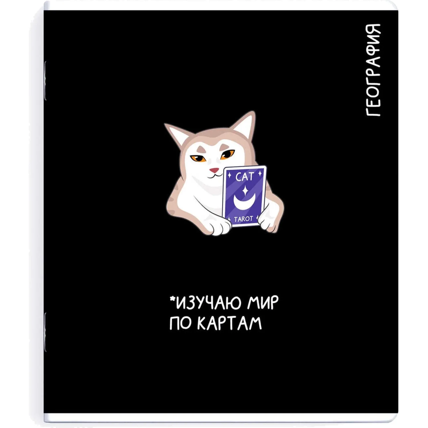 Тетрадь предметнaя ГЕОГРАФИЯ 'КОТЫ МЕМЫ' 48 л., А5+,клетка, справ.инф/69825 - фото 1