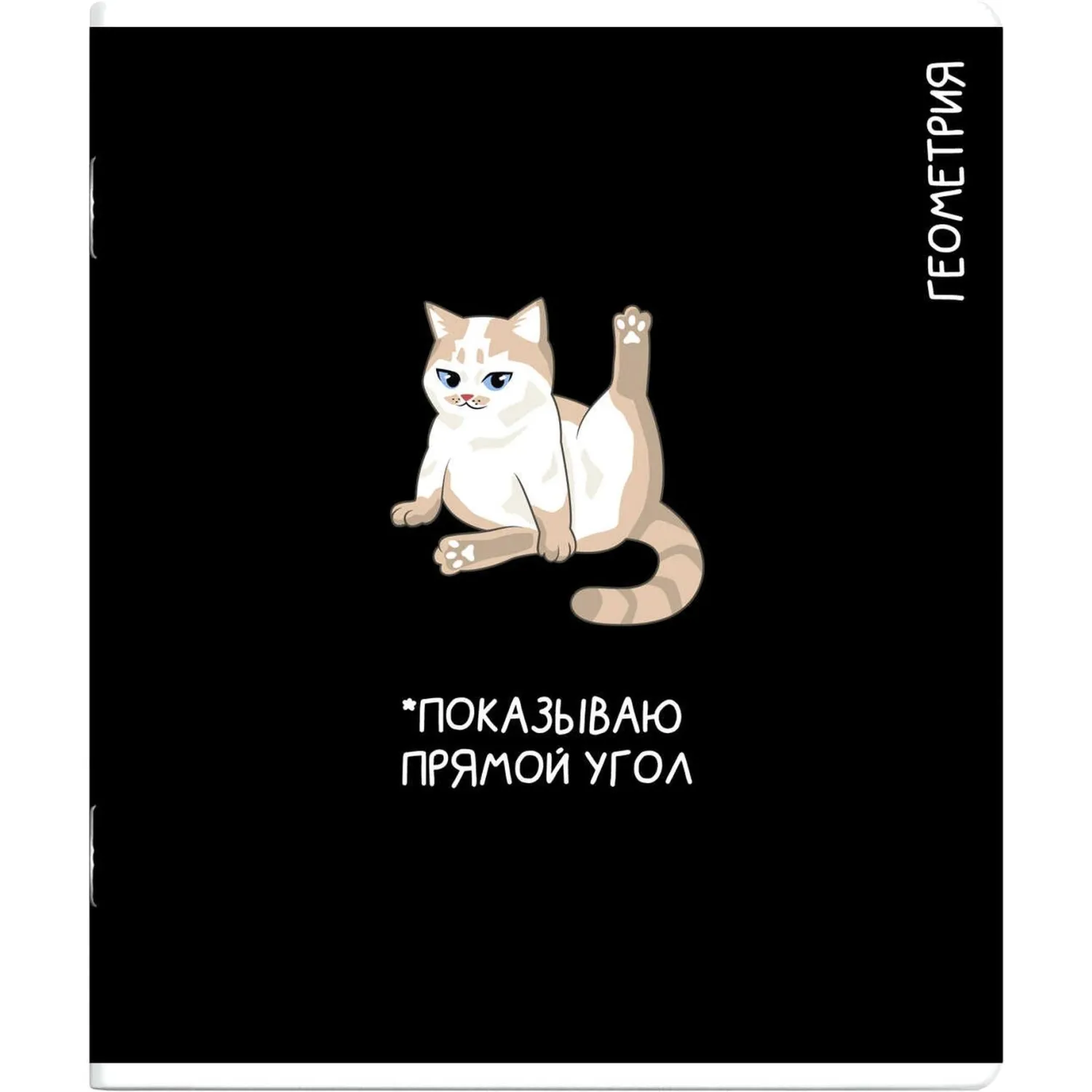 Тетрадь предметнaя ГЕОМЕТРИЯ 'КОТЫ МЕМЫ' 48 л., А5+,клетка, справ.инф/69821 - фото 1