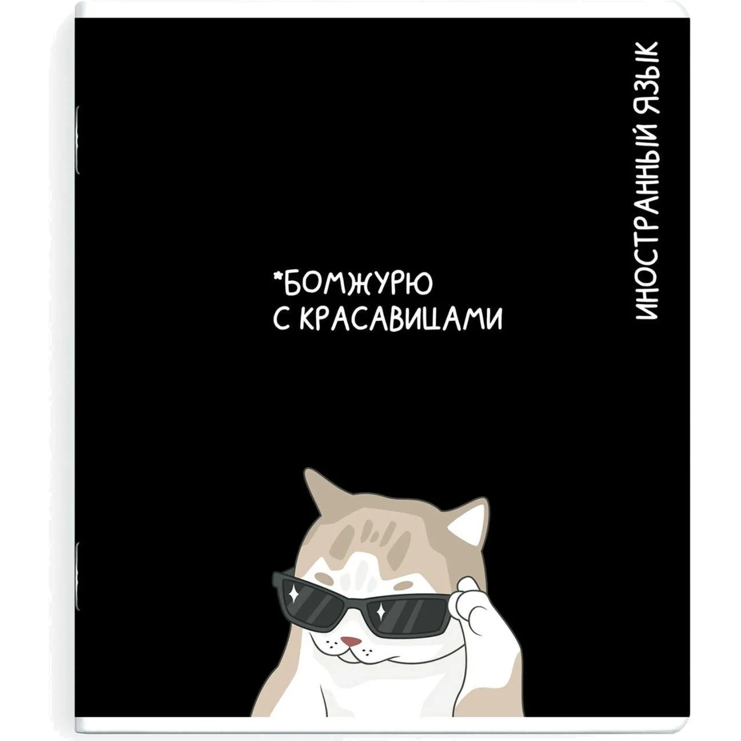 Тетрадь предметнaя ИНОСТРАННЫЙ ЯЗЫК 'КОТЫ МЕМЫ' 48 л.А5+,кл,справ.инф/69829 - фото 1