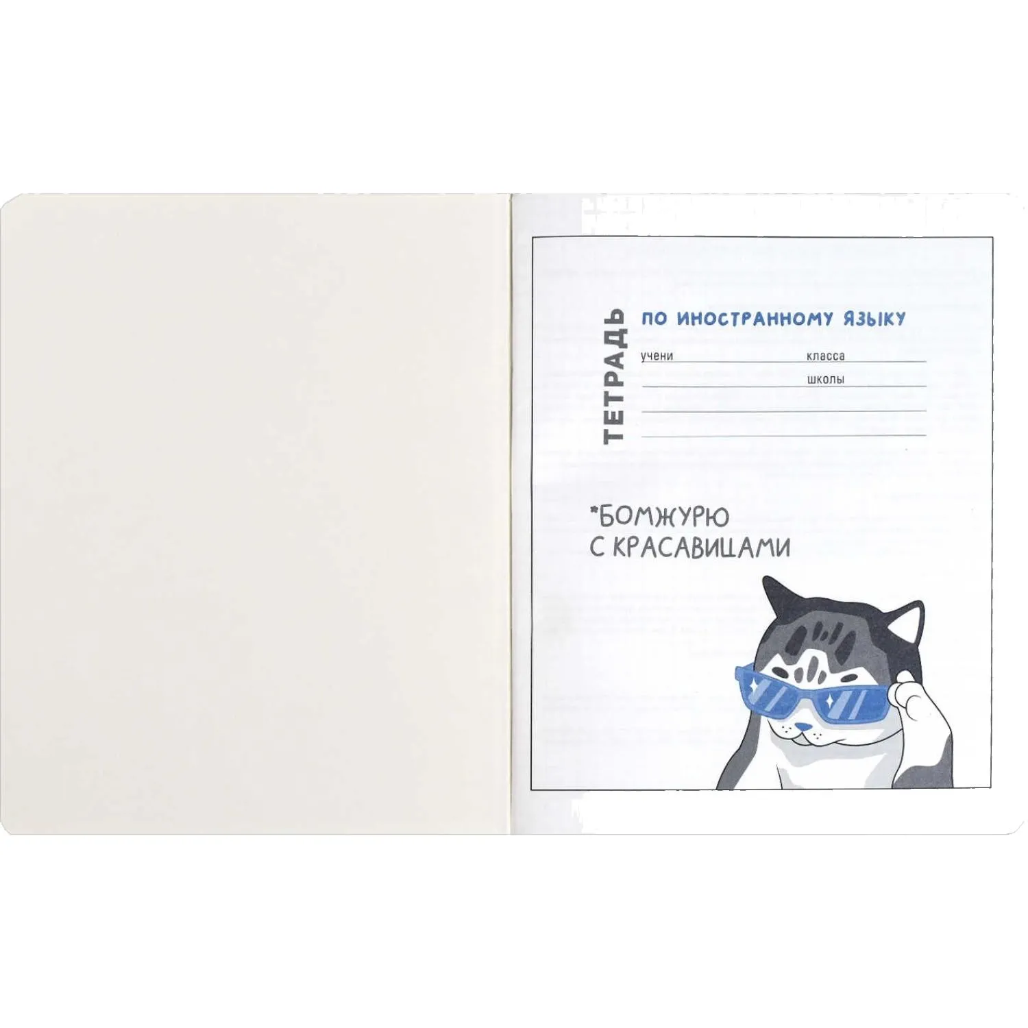 Тетрадь предметнaя ИНОСТРАННЫЙ ЯЗЫК 'КОТЫ МЕМЫ' 48 л.А5+,кл,справ.инф/69829 - фото 3