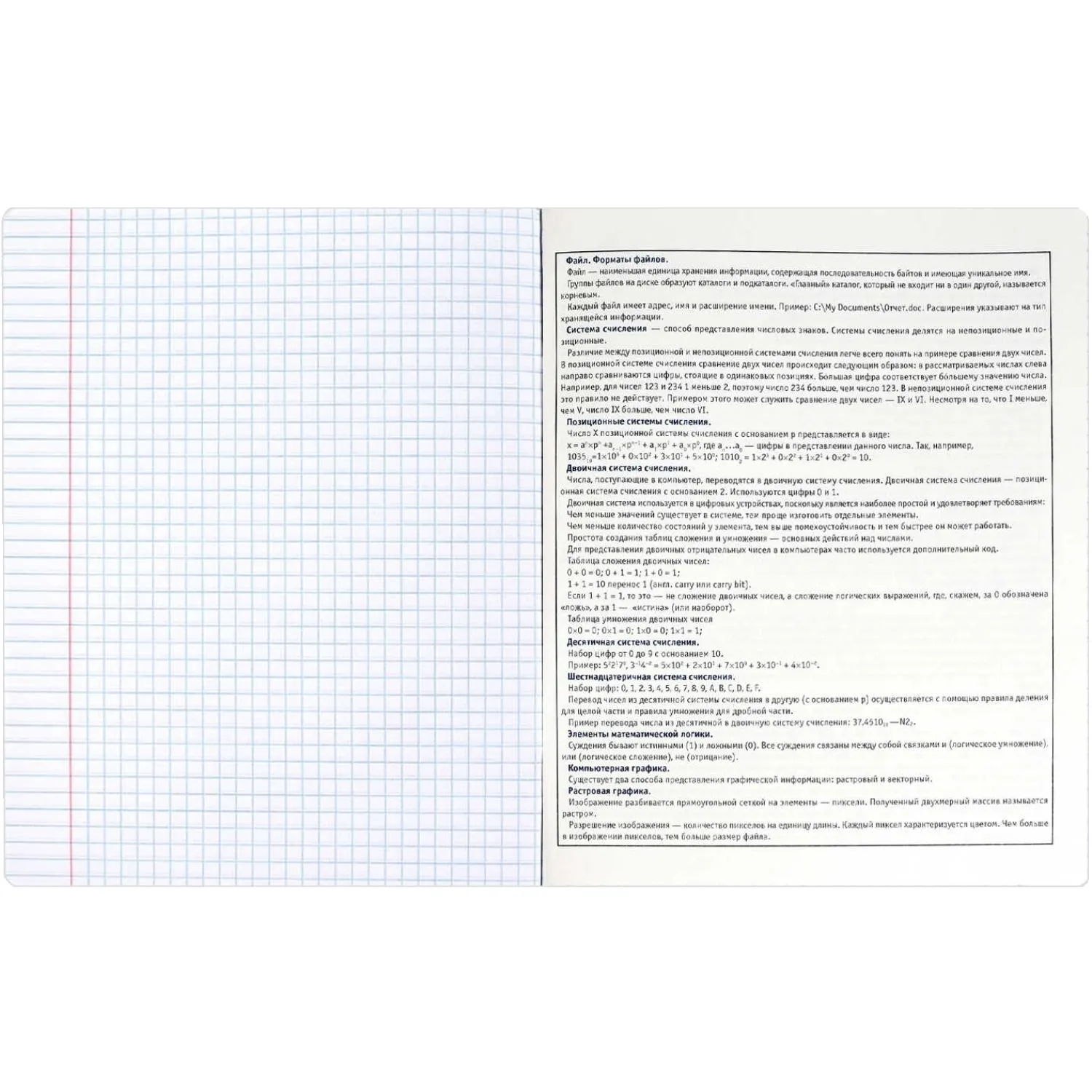 Тетрадь предметнaя ИНФОРМАТИКА 'КОТЫ МЕМЫ' 48 л, А5+,клетка,справ.инф/69827 - фото 6