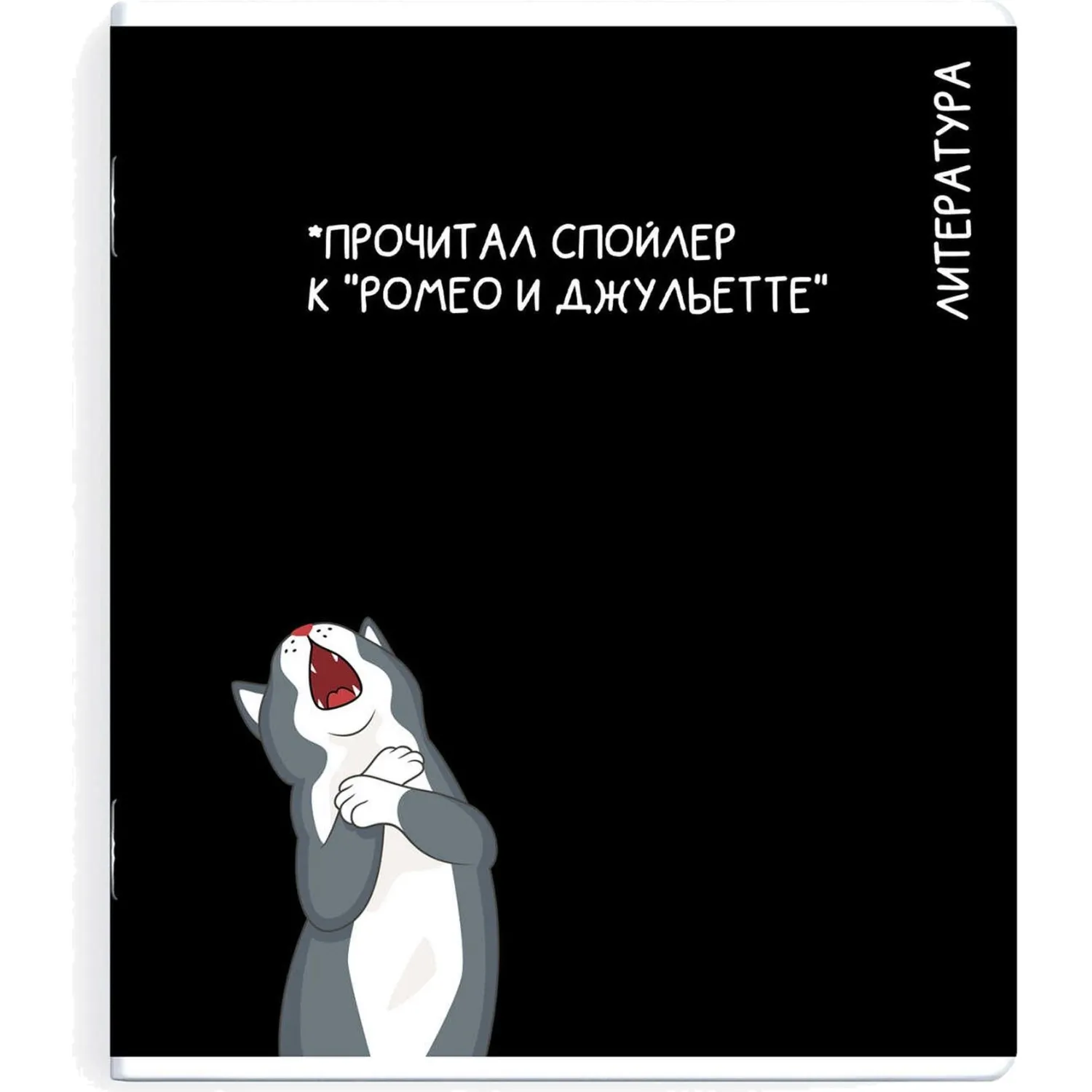 Тетрадь предметнaя ЛИТЕРАТУРА 'КОТЫ МЕМЫ' 48 л., А5+,линия,справ.инф/69832 - фото 1