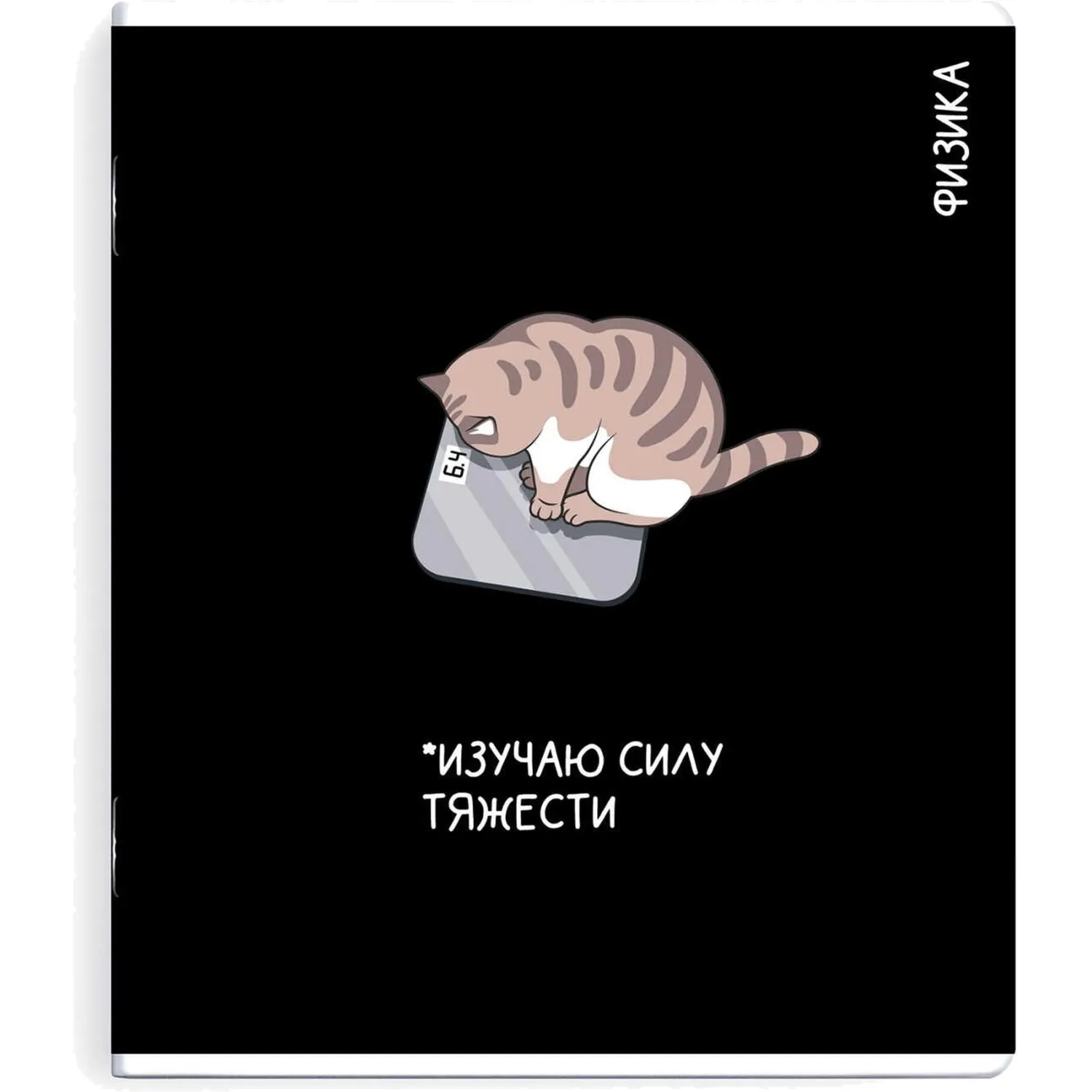 Тетрадь предметнaя ФИЗИКА 'КОТЫ МЕМЫ' 48 л., А5+,клетка,справ.инф/69822 - фото 1