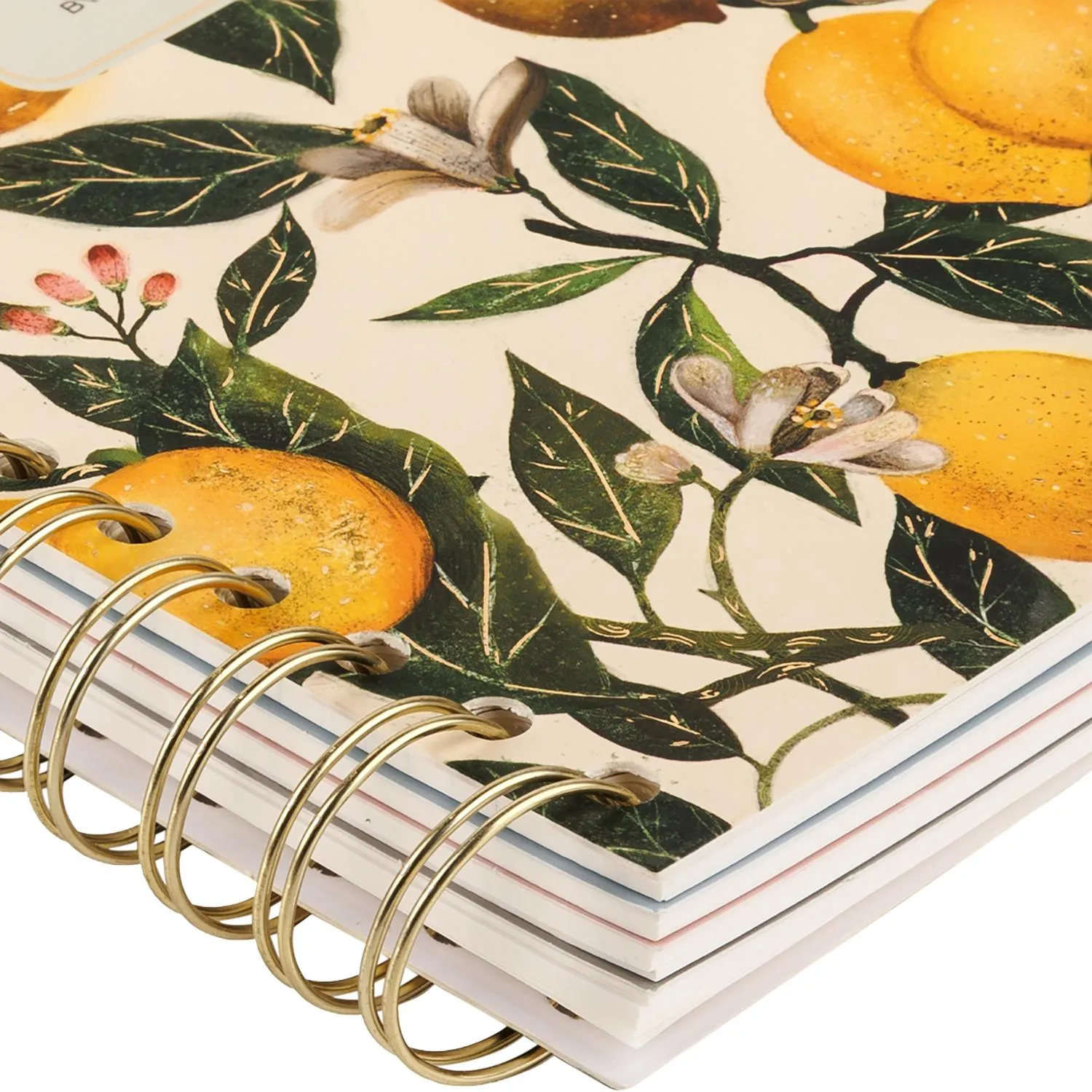 Бизнес-тетрадь BV ART А5+ 120л гребень,с разделител. FLORA.ЛИМОНЫ 3-737/15 - фото 3
