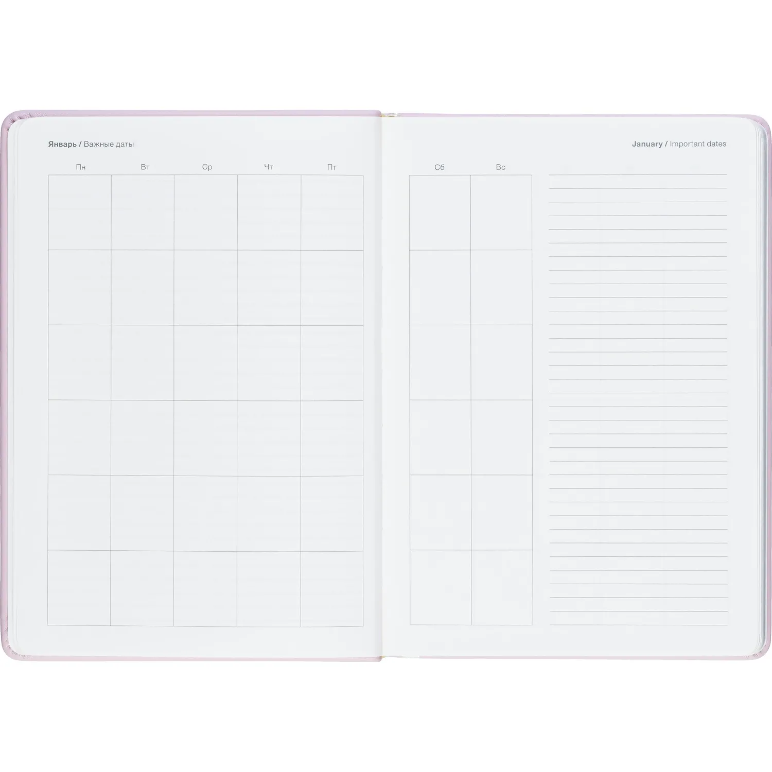 Ежедневник недатированный IF 140x200мм 160л тверд Краски I2000/pink - фото 7