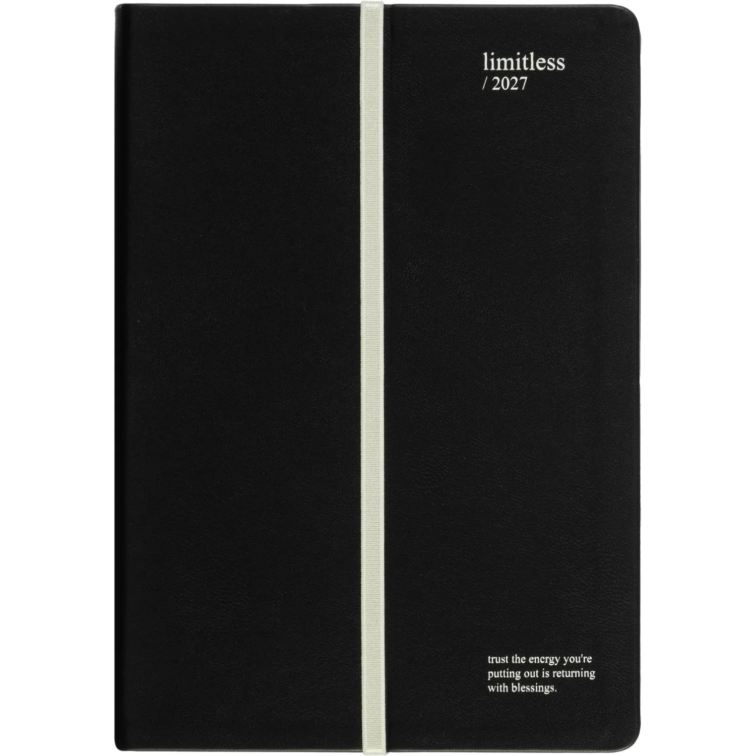 Ежедневник датированный 2027 IF 140x200 176л мягк рез Безгранич I1927/black - фото 15