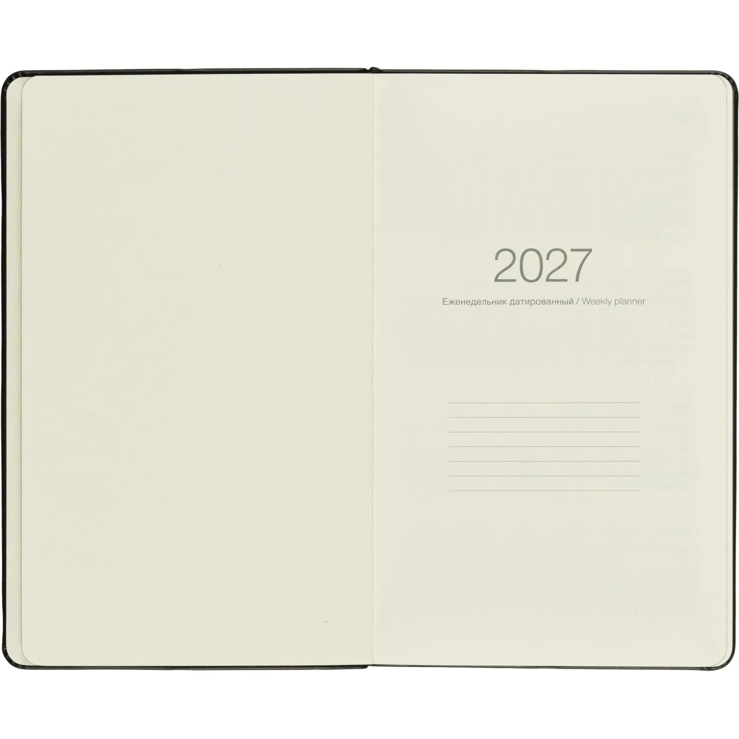 Еженедельник датированный 2027 IF 130x205 64л мяг рез Безгранич I2037/black - фото 5