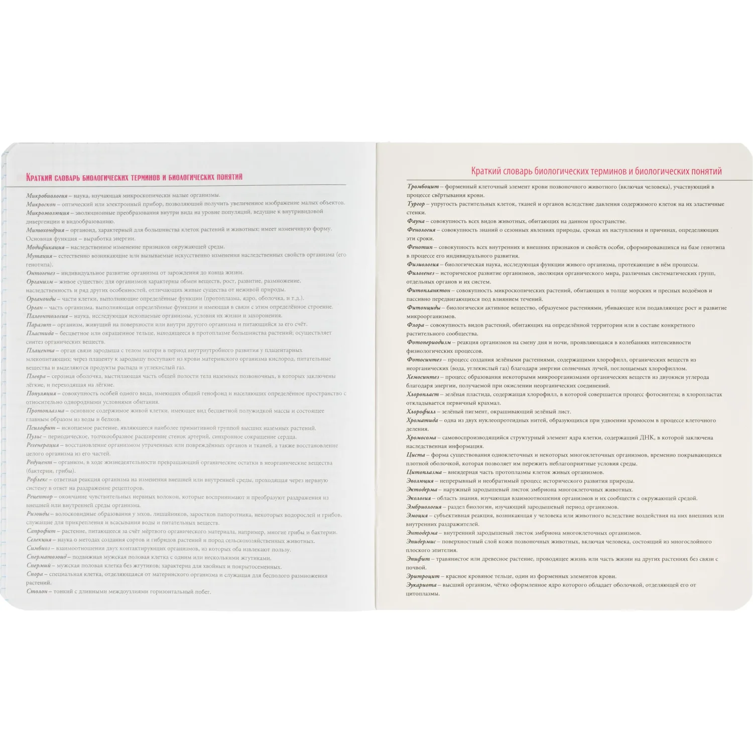 Тетрадь предметная 10 шт/набор, СЕРИЯ MONOCOLOR, 7-48-1401/26 - фото 46