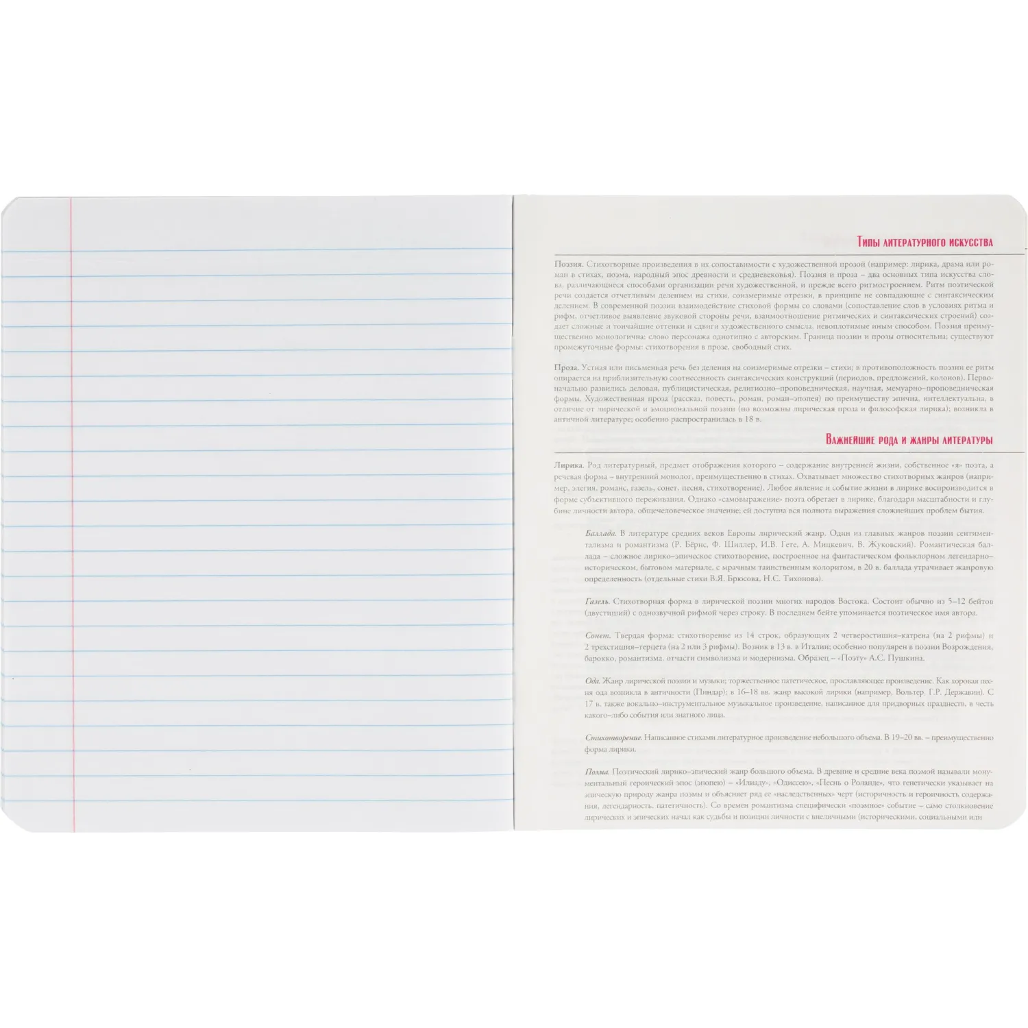 Тетрадь предметная 10 шт/набор, СЕРИЯ MONOCOLOR, 7-48-1401/26 - фото 49