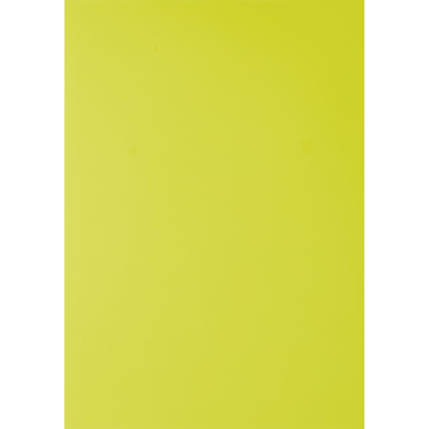 Обложки для переплета пластиковые Promega office желтыеА4,280мкм,100шт/уп. - фото 2