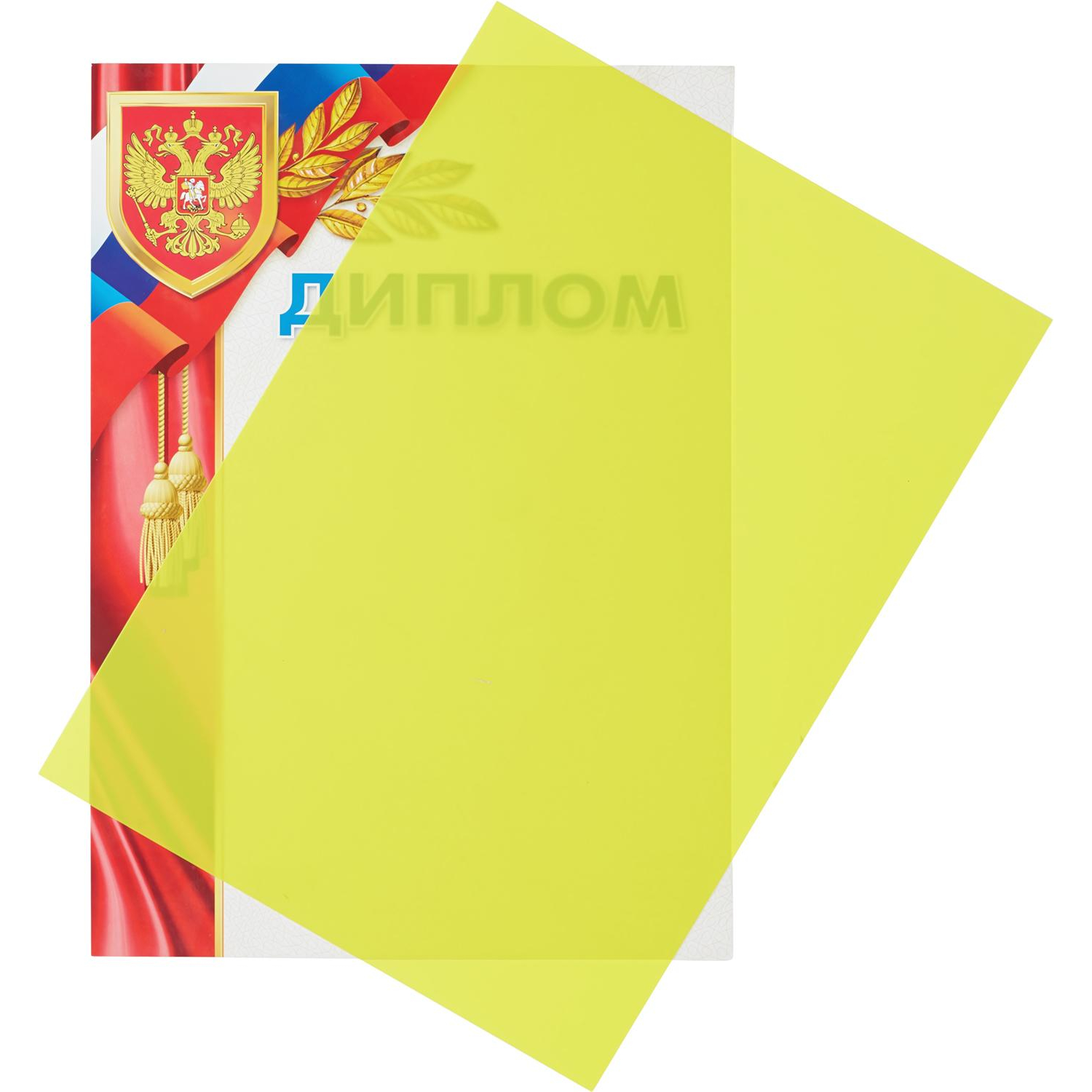 Обложки для переплета пластиковые Promega office желтыеА4,280мкм,100шт/уп. - фото 3