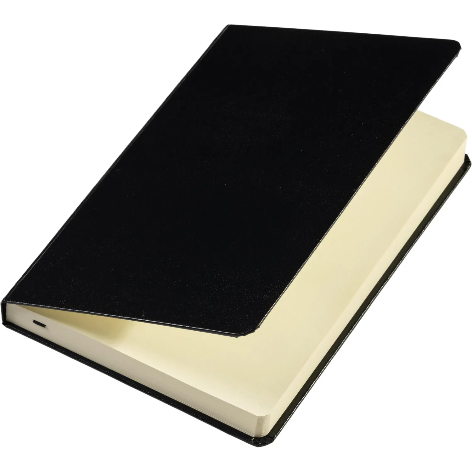 Ежедневник недатированный черный, MEGAPOLIS А5, 142х214мм,320стр.3-281/02 - фото 7