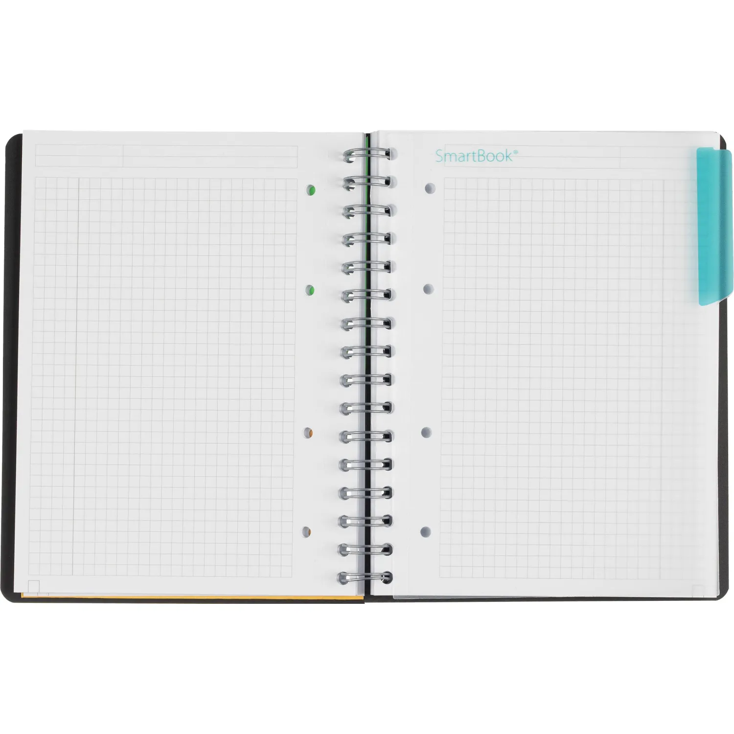 Бизнес-тетрадь SMARTBOOK А5 120л. клетка,спир,микроп,разд,карм,сер-бирюз - фото 8