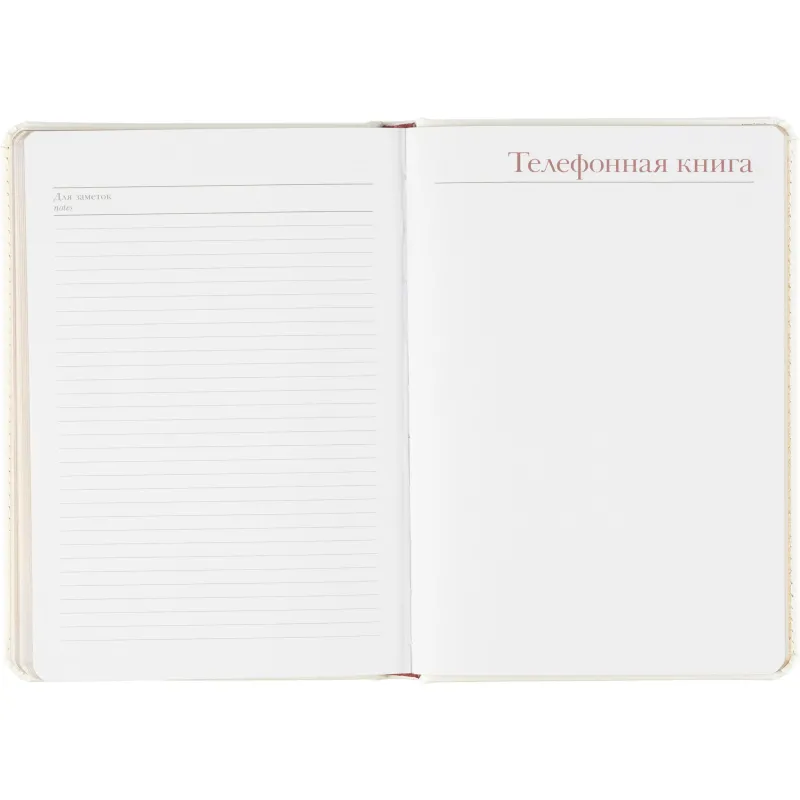 Ежедневник недатированный белый,А5,145х205мм,136л, Sidney NEBRASKA 3-128/06 - фото 19