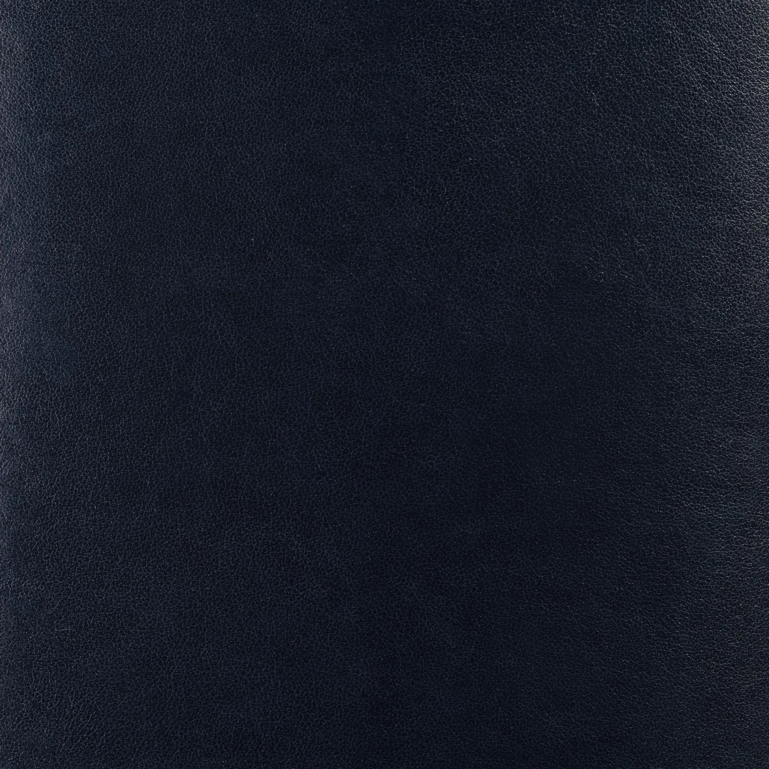 Ежедневник недатированный синий А5  MEGAPOLIS SOFT 3-470/03 - фото 6