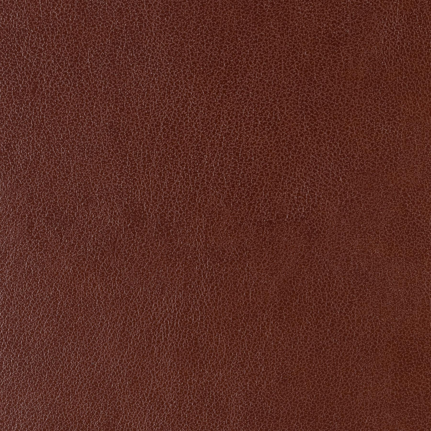 Ежедневник недатированный коричневый А5  MEGAPOLIS SOFT 3-470/06 - фото 6