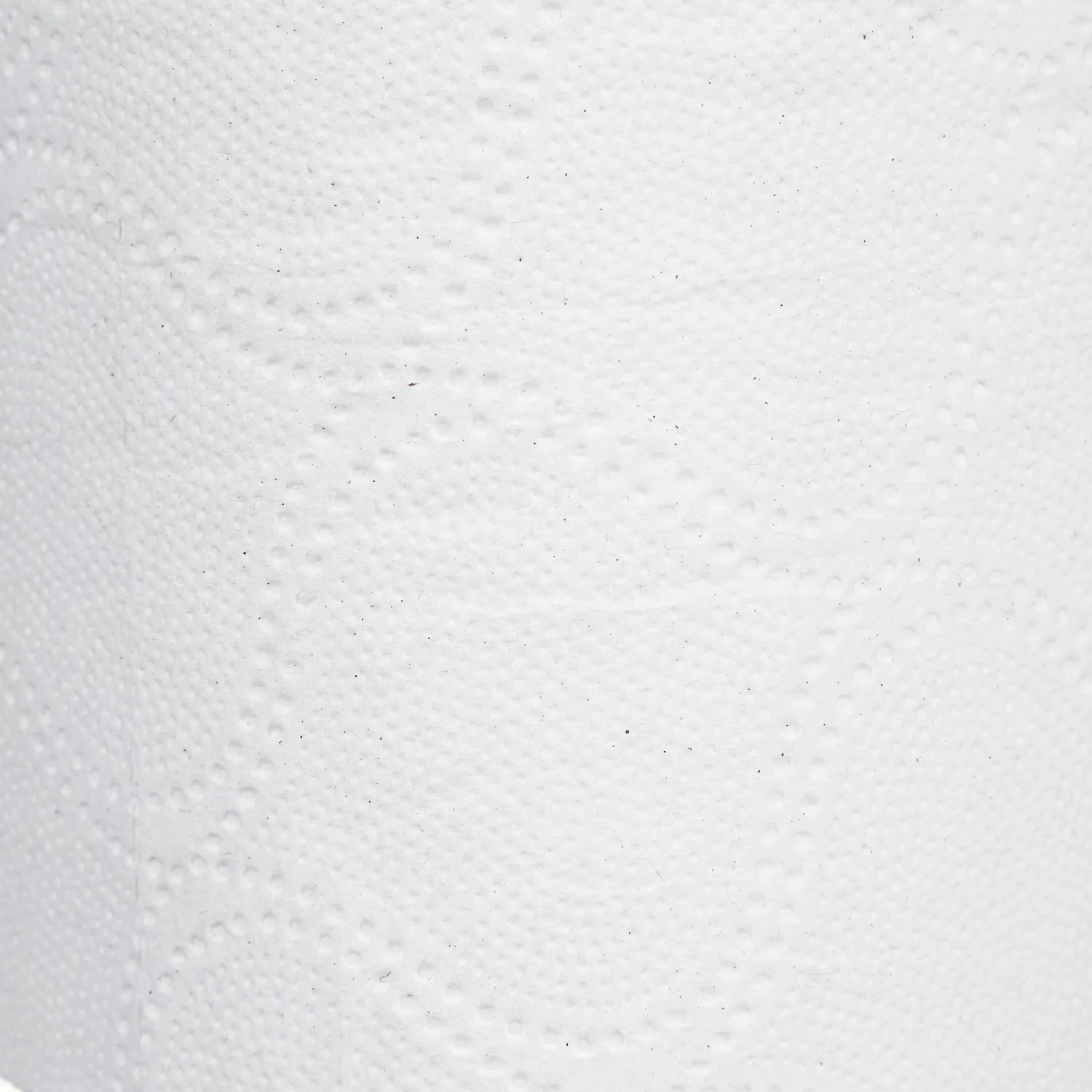 Бумага туалетная Luscan Professional 2сл бел втор втул 20м 160л 24рул/уп Бумага туалетная Luscan Professional 2сл бел втор втул 20м 160л 24рул/уп - фото 3