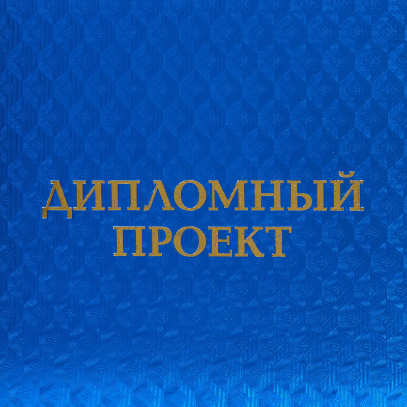 Папка адресная д/дипл работ ДИПЛОМНЫЙ ПРОЕКТ А4 полипроп,3 отв.,шнур.,син - фото 4