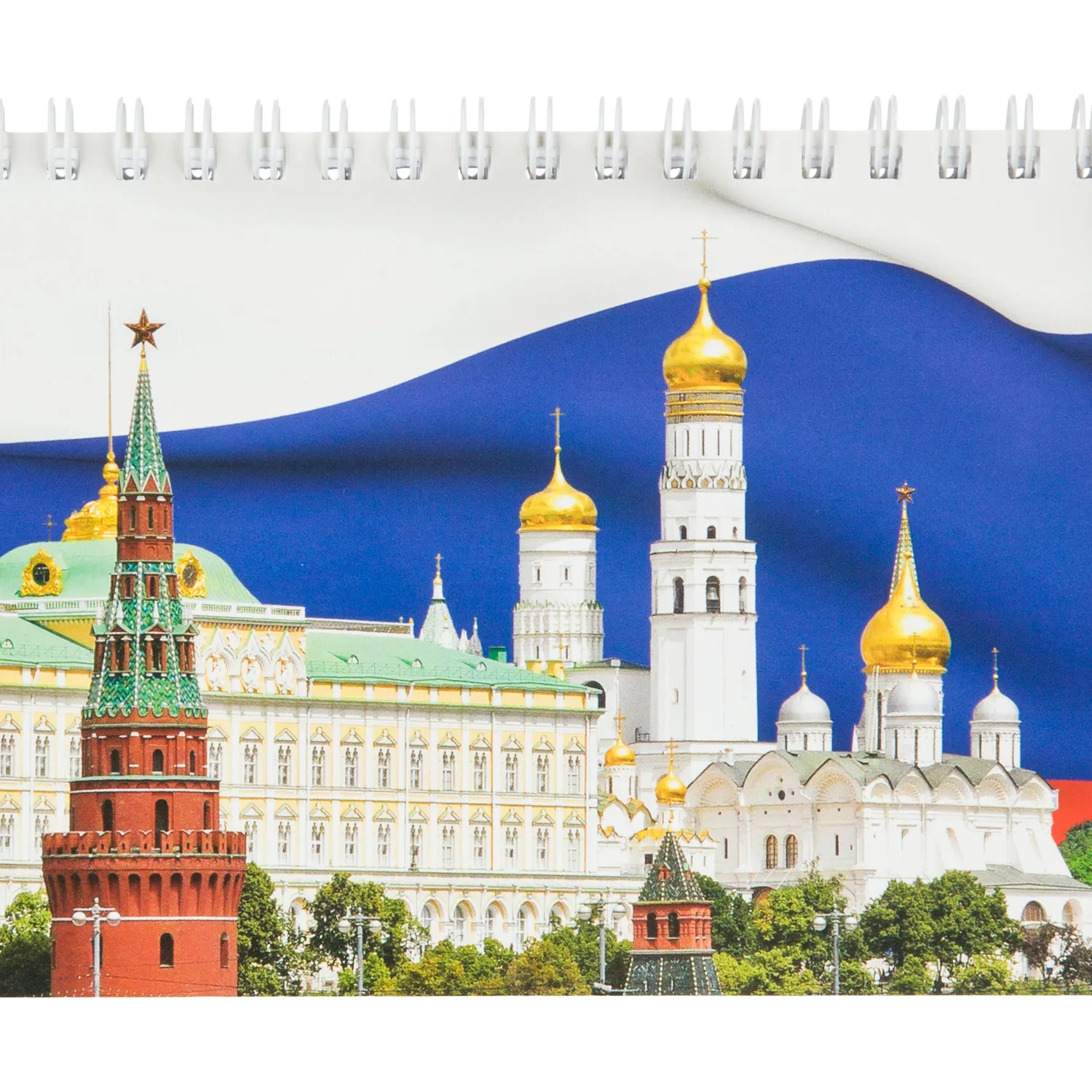Планинг недатированный.100x295, 56л., герб/флаг - фото 3