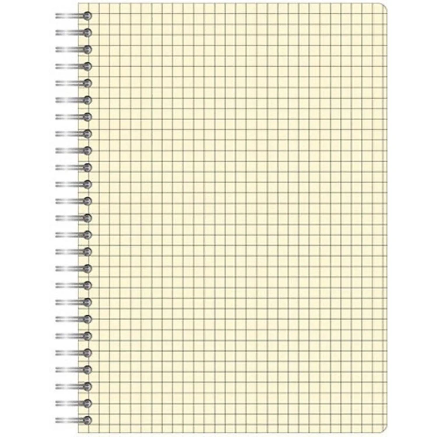 Бизнес-тетрадь ,80,А4,Амели,300х210мм,Желтый,80г/квм,тонир - фото 2