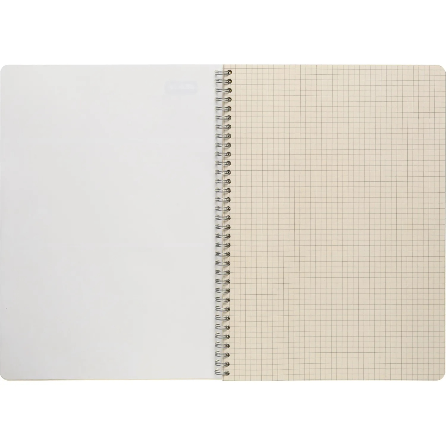 Бизнес-тетрадь ,80,А4,Амели,300х210мм,Желтый,80г/квм,тонир - фото 5