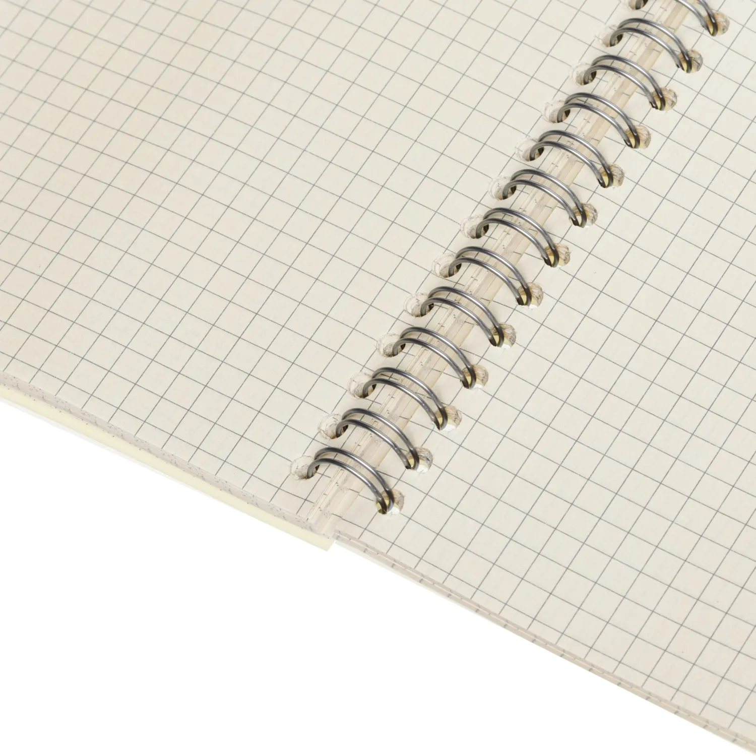 Бизнес-тетрадь ,80,А4,Амели,300х210мм,Желтый,80г/квм,тонир - фото 8