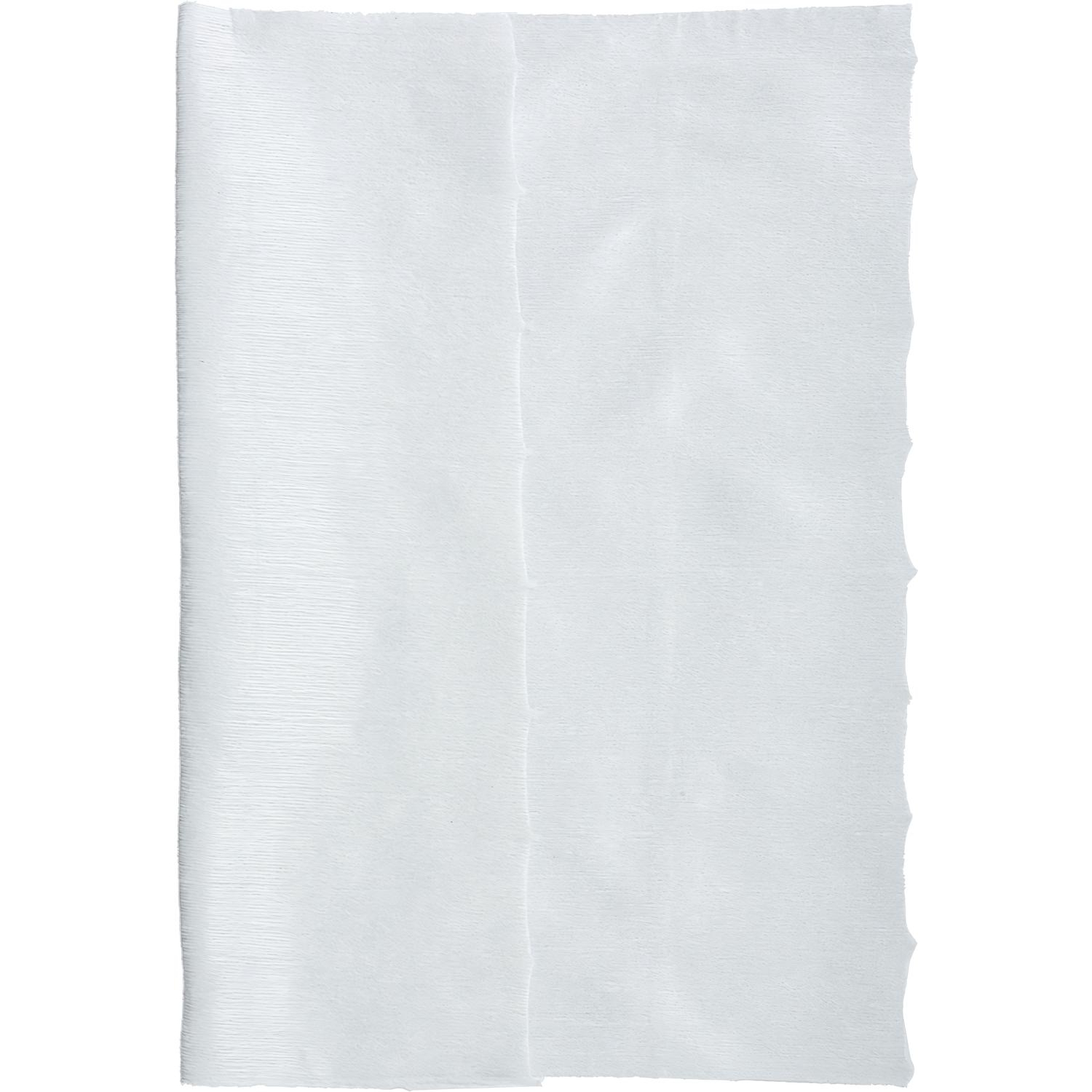 Салфетки хозяйственные Luscan спанлейс 40г/м2, 22х23см, 70л/рул Салфетки хозяйственные Luscan спанлейс 40г/м2, 22х23см, 70л/рул - фото 2