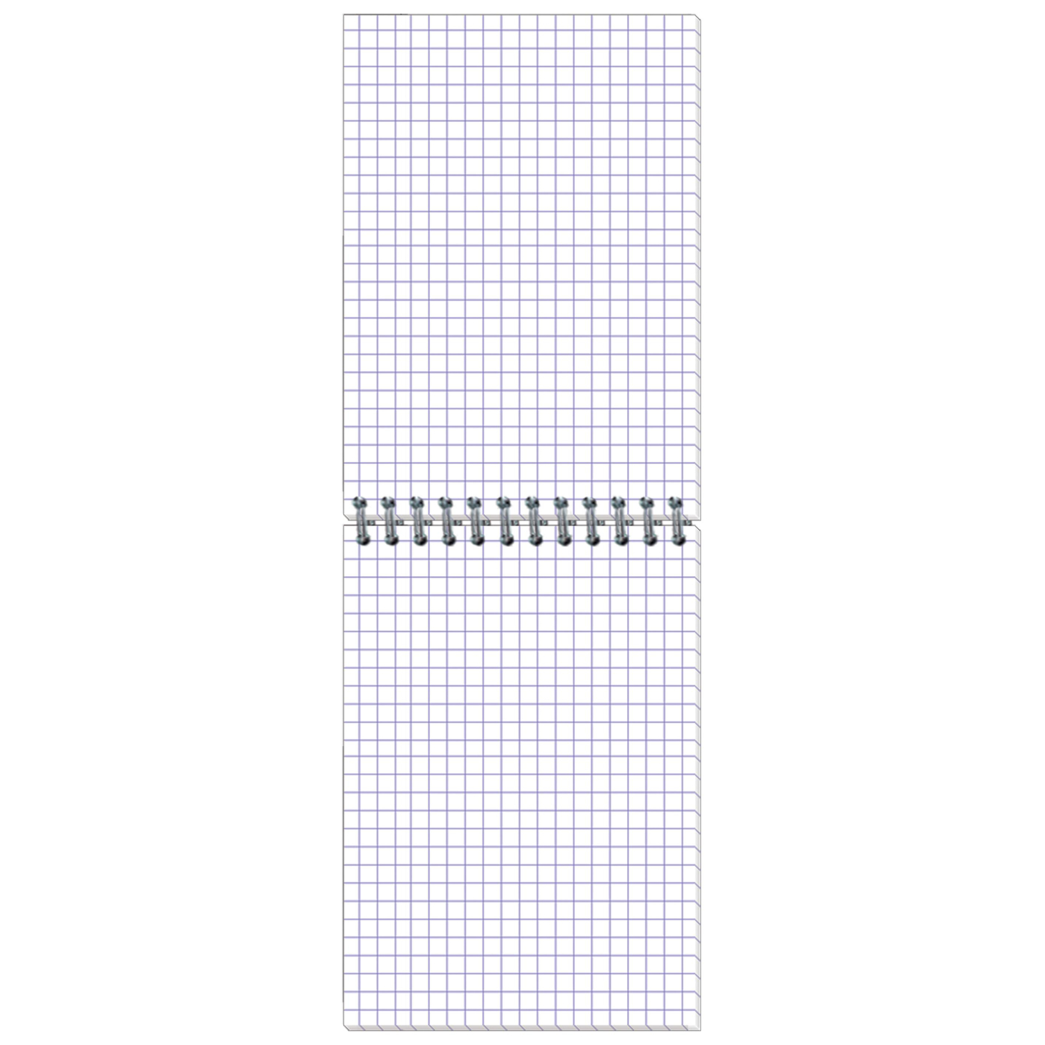 Блокнот Attache Economy Города А6 40л. разноцв.,клетка,спираль (105х145мм) - фото 2