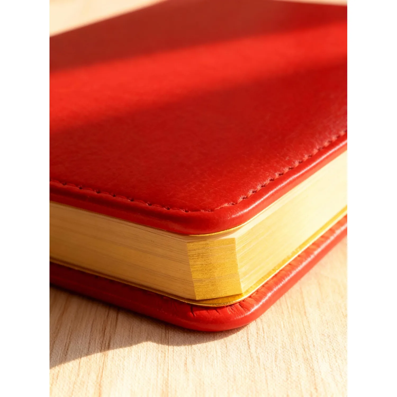 Ежедневник недатированный красн,А5,145х205мм,136л, Sidney NEBRASKA 3-128/08 - фото 17