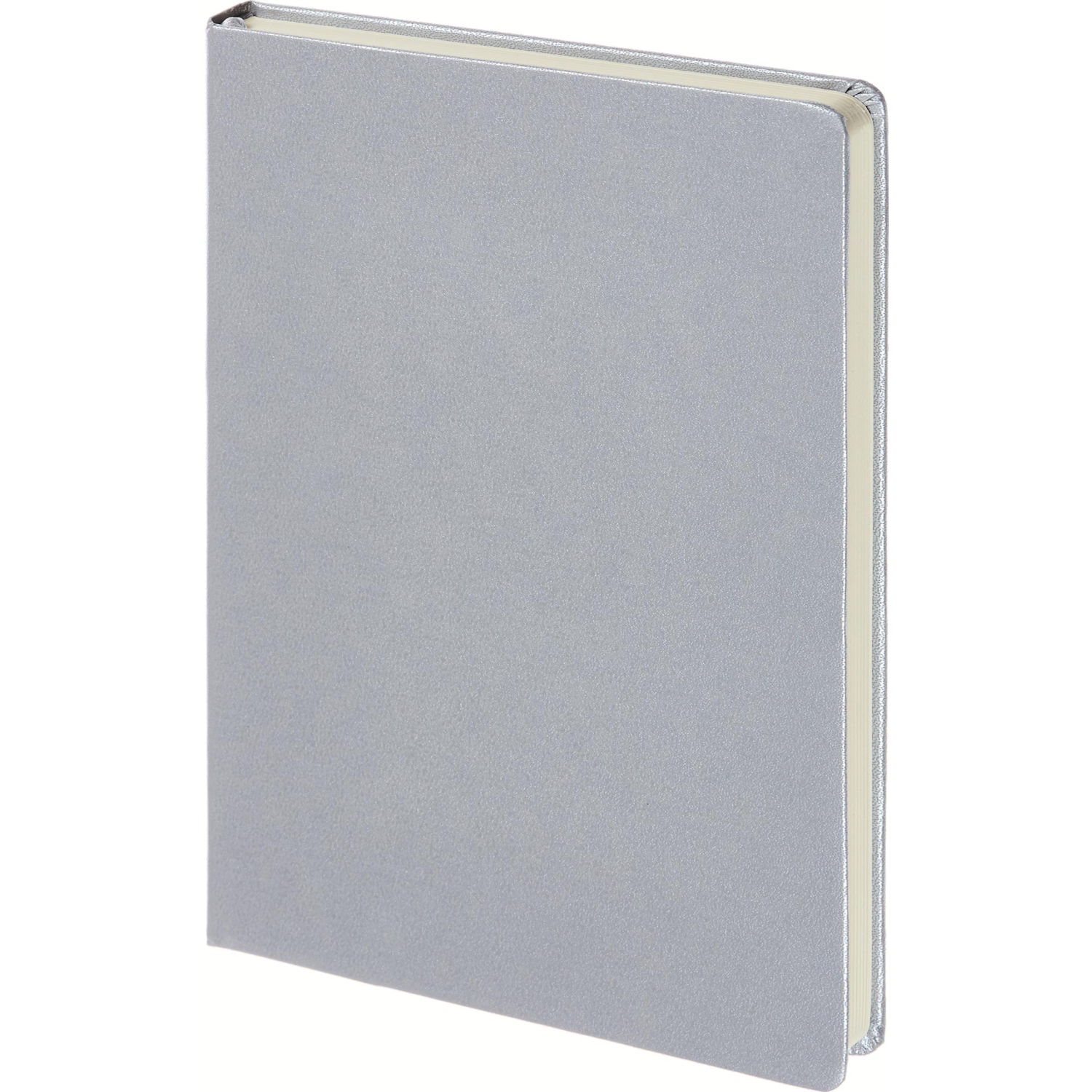 Ежедневник недатированный серебр, MEGAPOLIS А5, 142х214мм,320стр.3-281/07 - фото 2