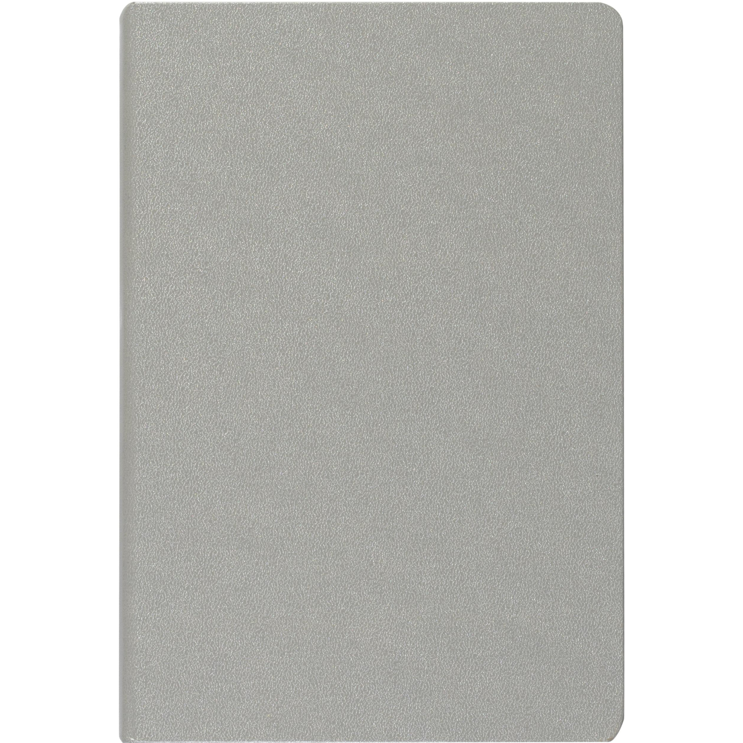 Ежедневник недатированный серебр, MEGAPOLIS А5, 142х214мм,320стр.3-281/07 - фото 4