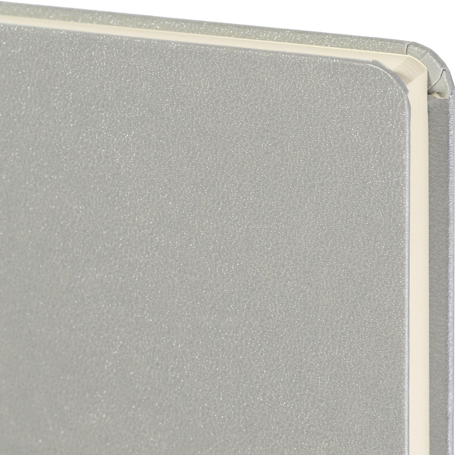 Ежедневник недатированный серебр, MEGAPOLIS А5, 142х214мм,320стр.3-281/07 - фото 5