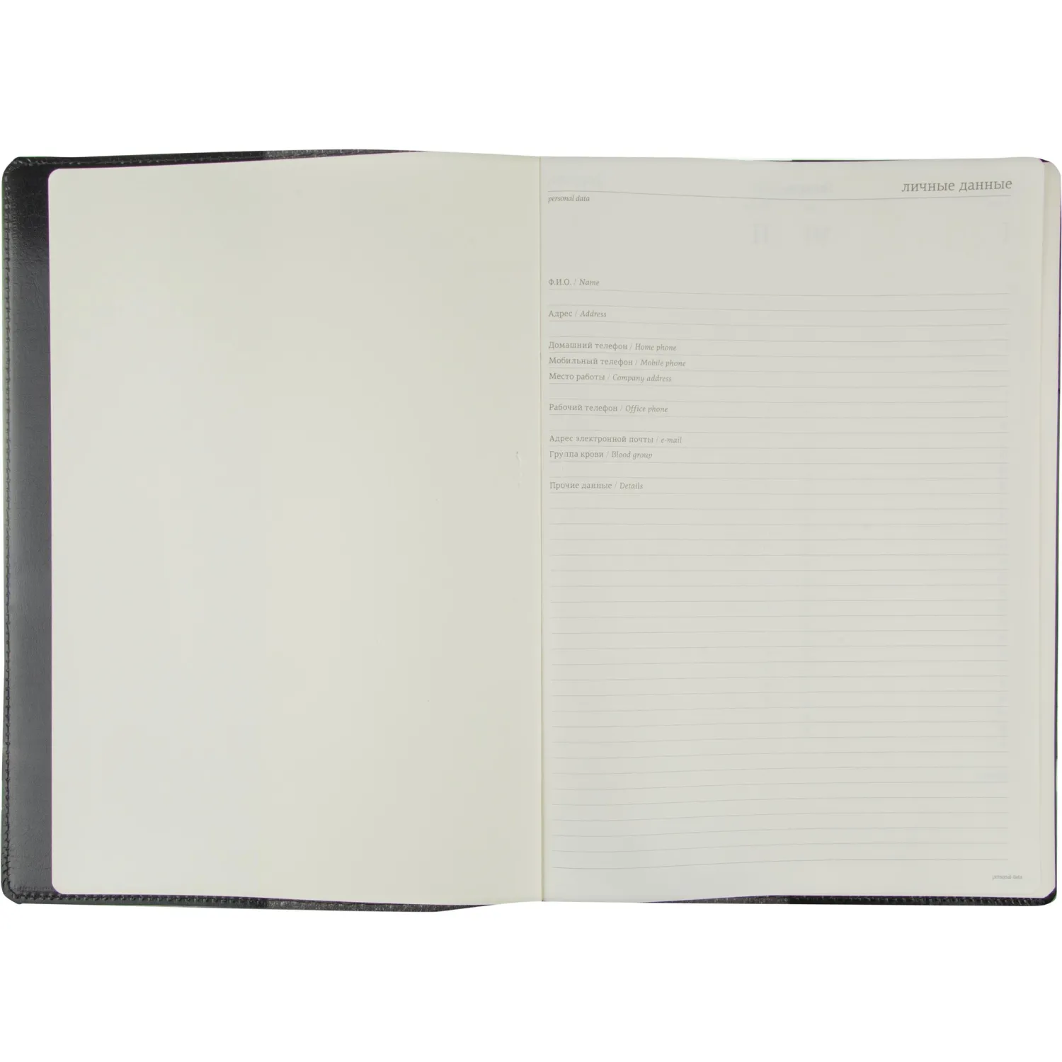 Еженедельник недатированный черный,кожа,A4 64л,Br.V.PROFY 3-098/02 - фото 3