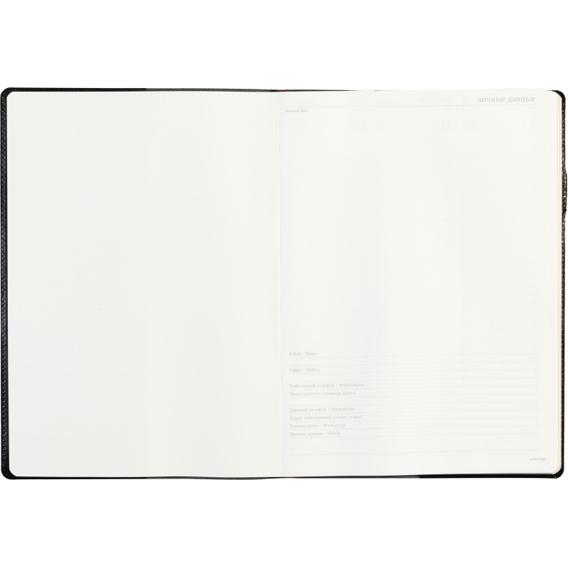 Еженедельник недатированный черный,кожа,A4 64л,Br.V.PROFY 3-098/02 - фото 10
