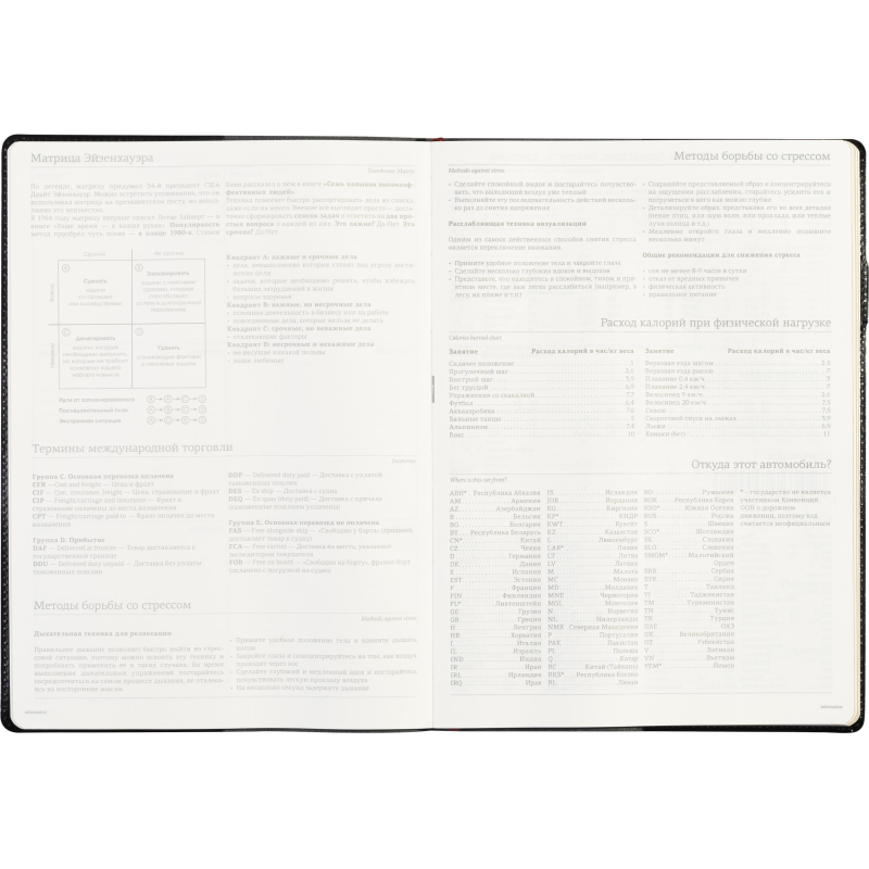 Еженедельник недатированный черный,кожа,A4 64л,Br.V.PROFY 3-098/02 - фото 14