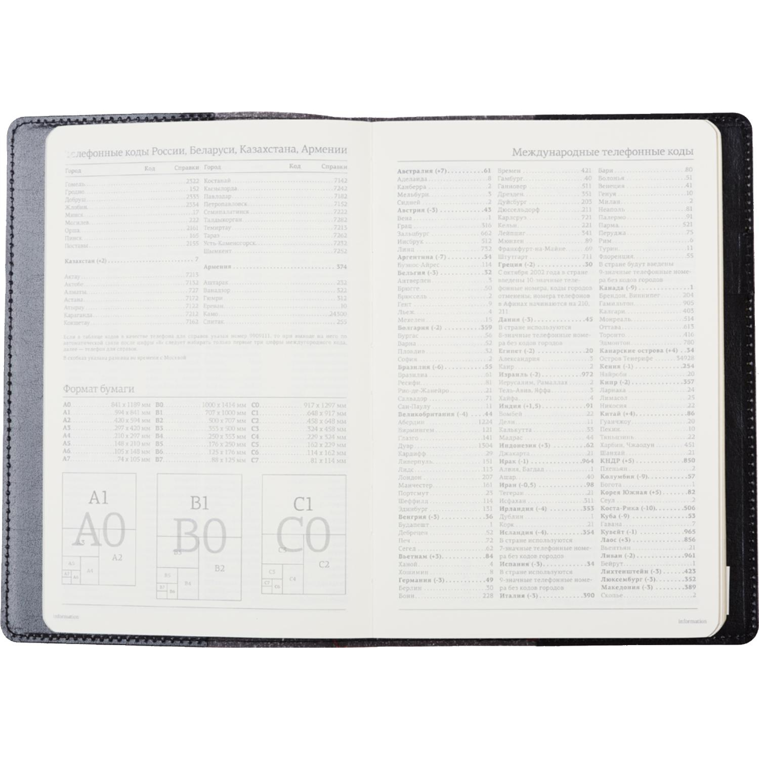 Ежедневник полудатированный черный,кожа,A5,1,208 л.,Br.V.PROFY 3-073/02 - фото 2