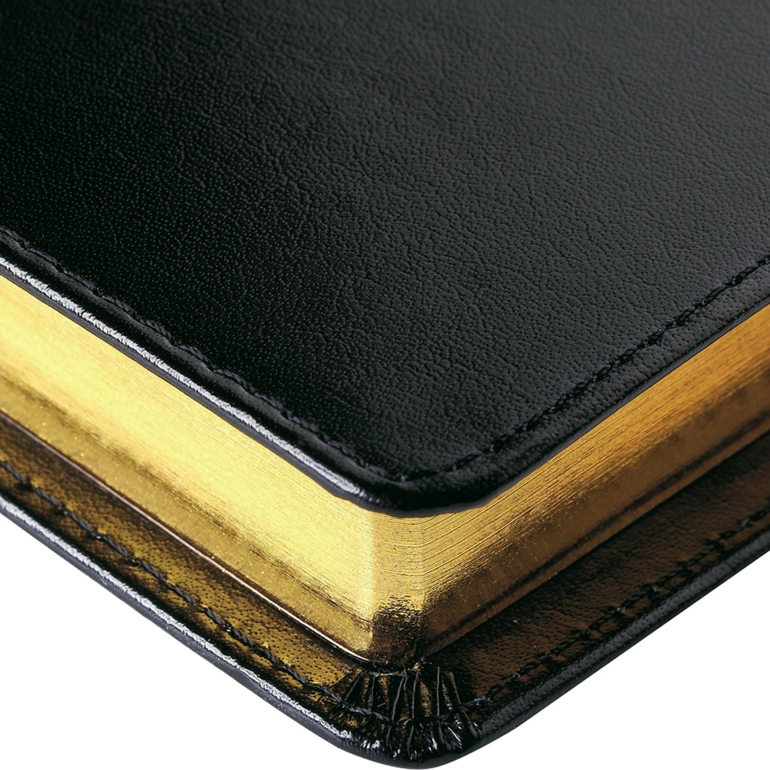 Ежедневник полудатированный черный,кожа,A5,1,208 л.,Br.V.PROFY 3-073/02 - фото 5