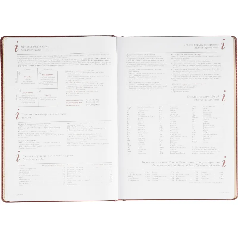 Ежедневник недатированный ,А4,,136л,Sidney Nebraskaбордо 3-539/01 Ежедневник недатированный ,А4,,136л,Sidney Nebraskaбордо 3-539/01 - фото 12