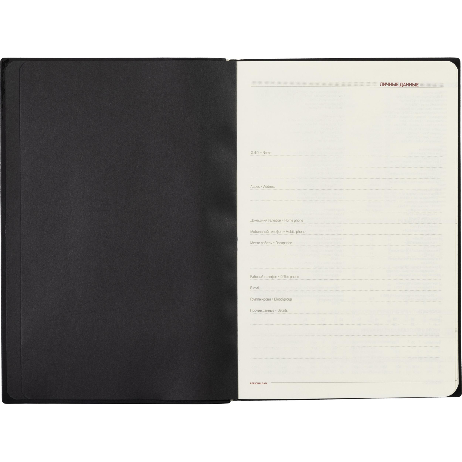 Ежедневник недатированный A5, Trend синий, 136 л. 3-516/04 - фото 3