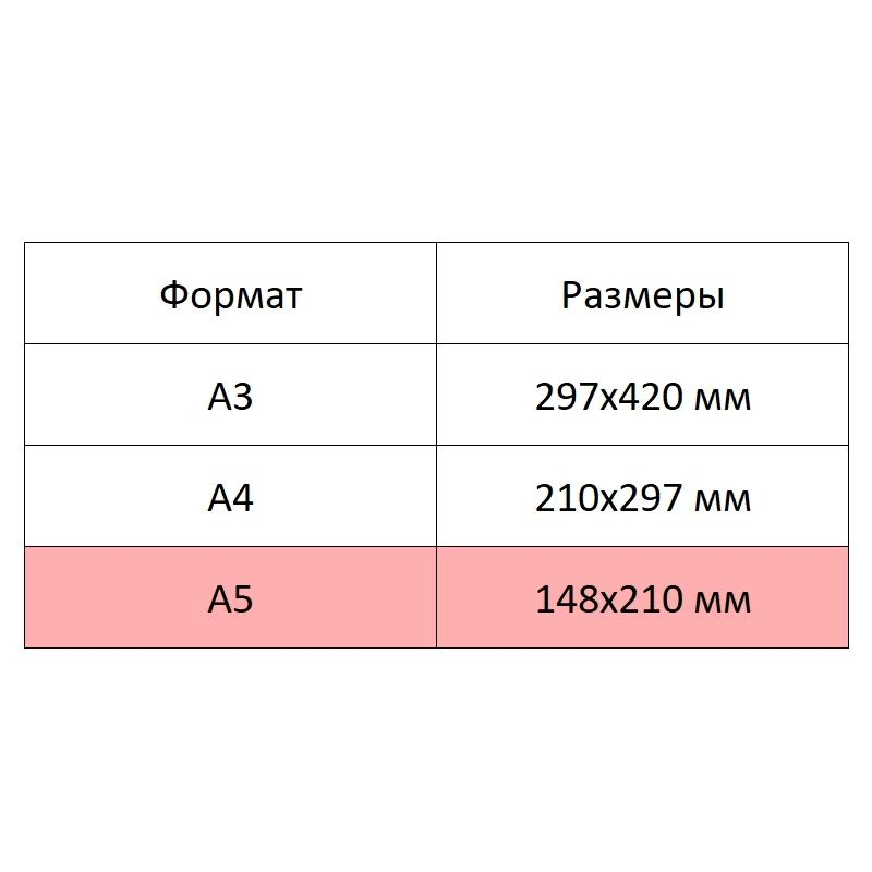 Альбом для рис.и эскизов Kroyter А5 40л белый блок160гр,спир,тв.подл7415 - фото 3